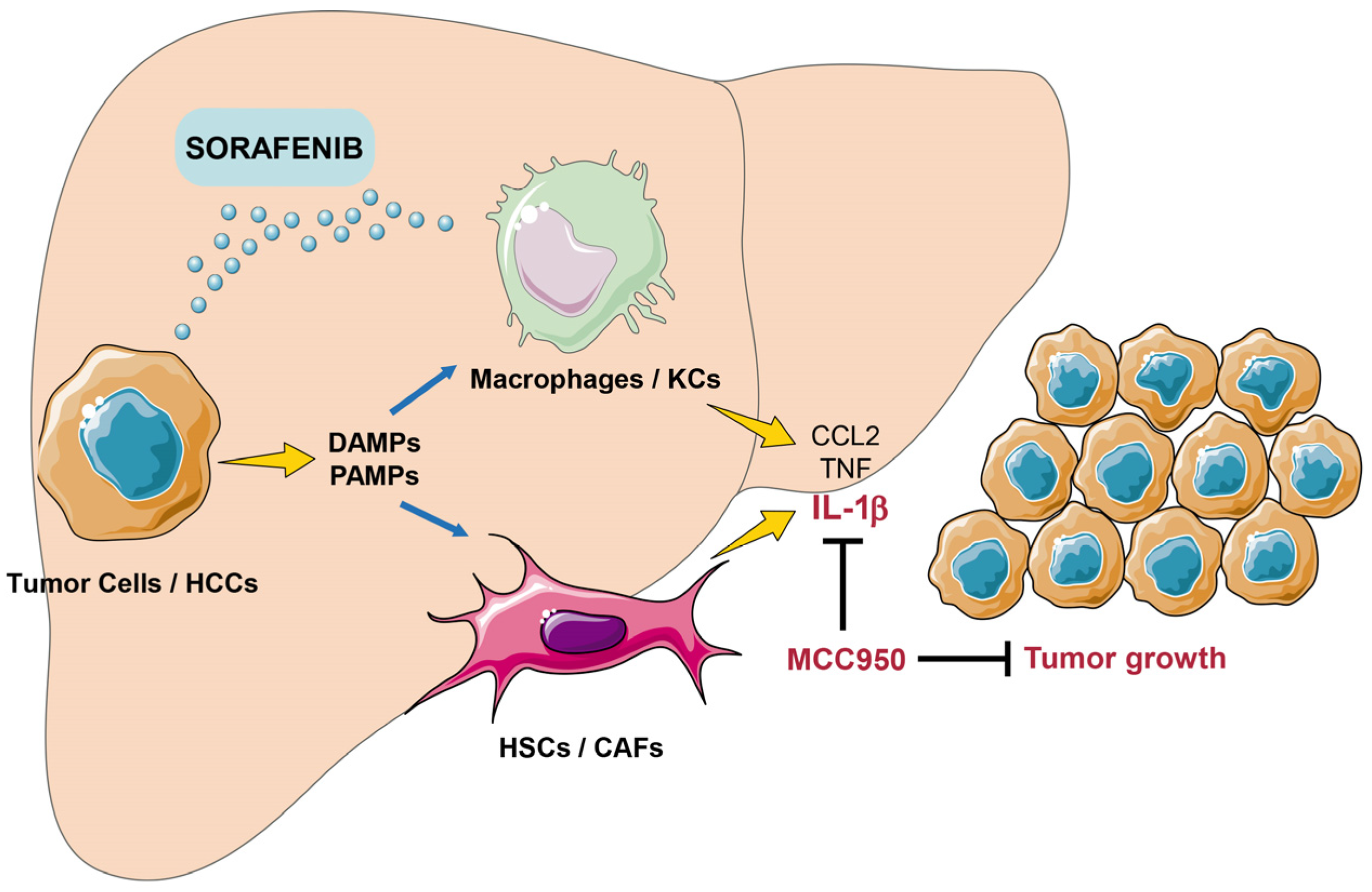Cancers 16 01491 g006