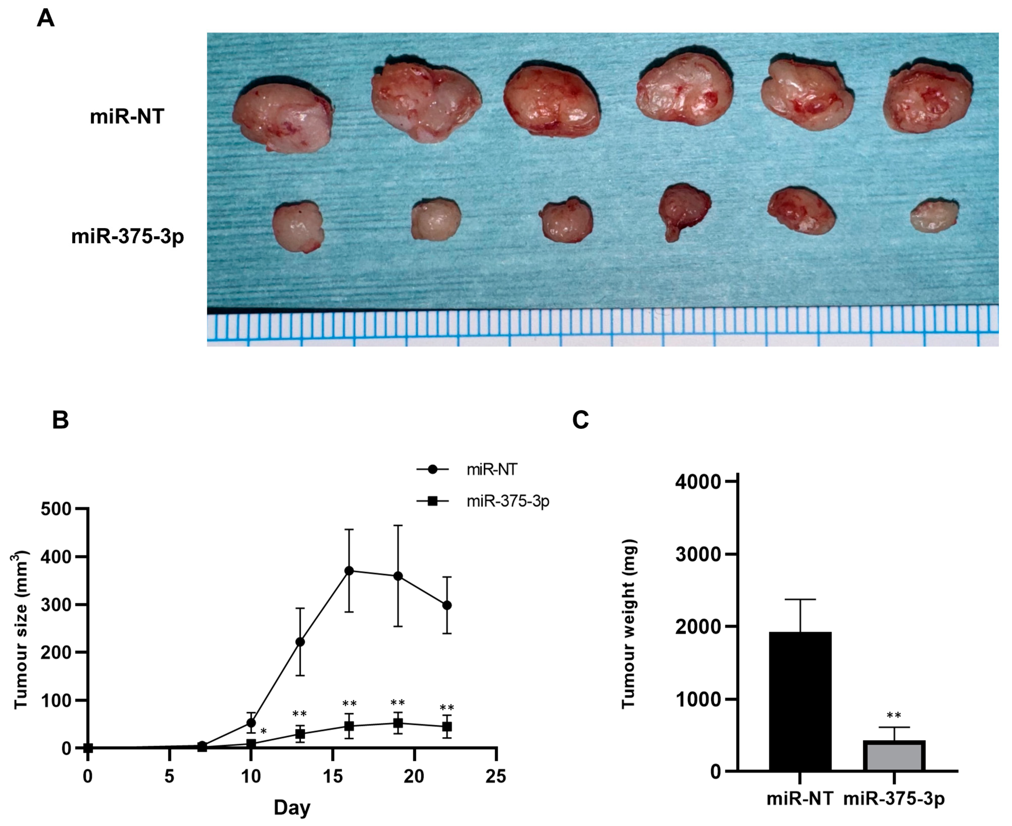 Cancers 16 01492 g005 Cancers 16 01492 g005