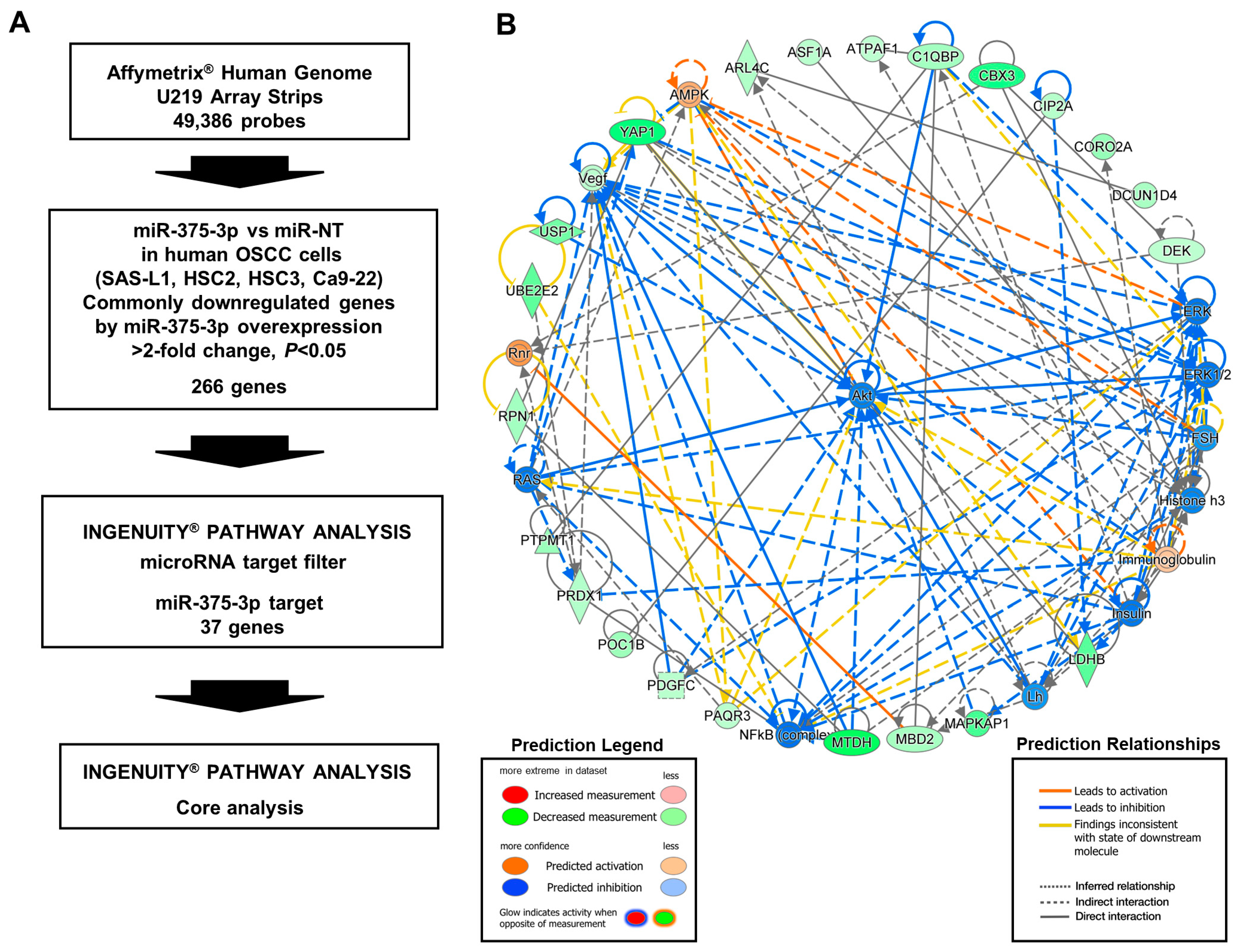 Cancers 16 01492 g006 Cancers 16 01492 g006