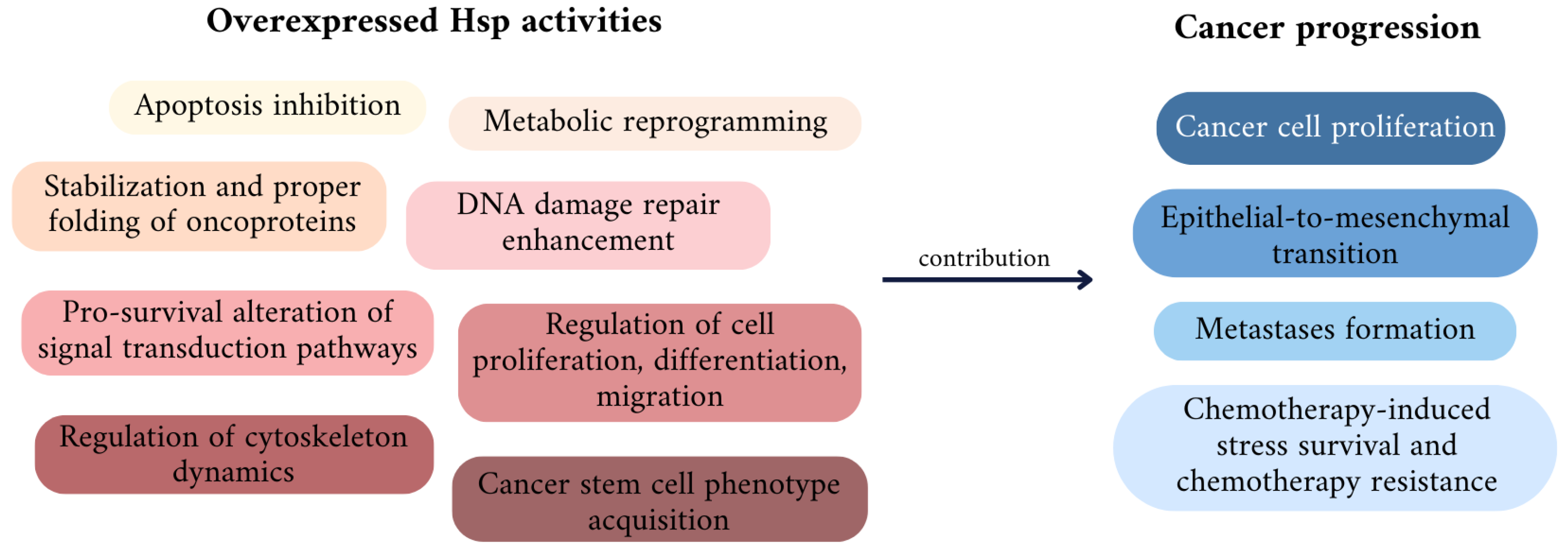 Heat Shock Proteins a DoubleEdged Sword Biology Diagrams