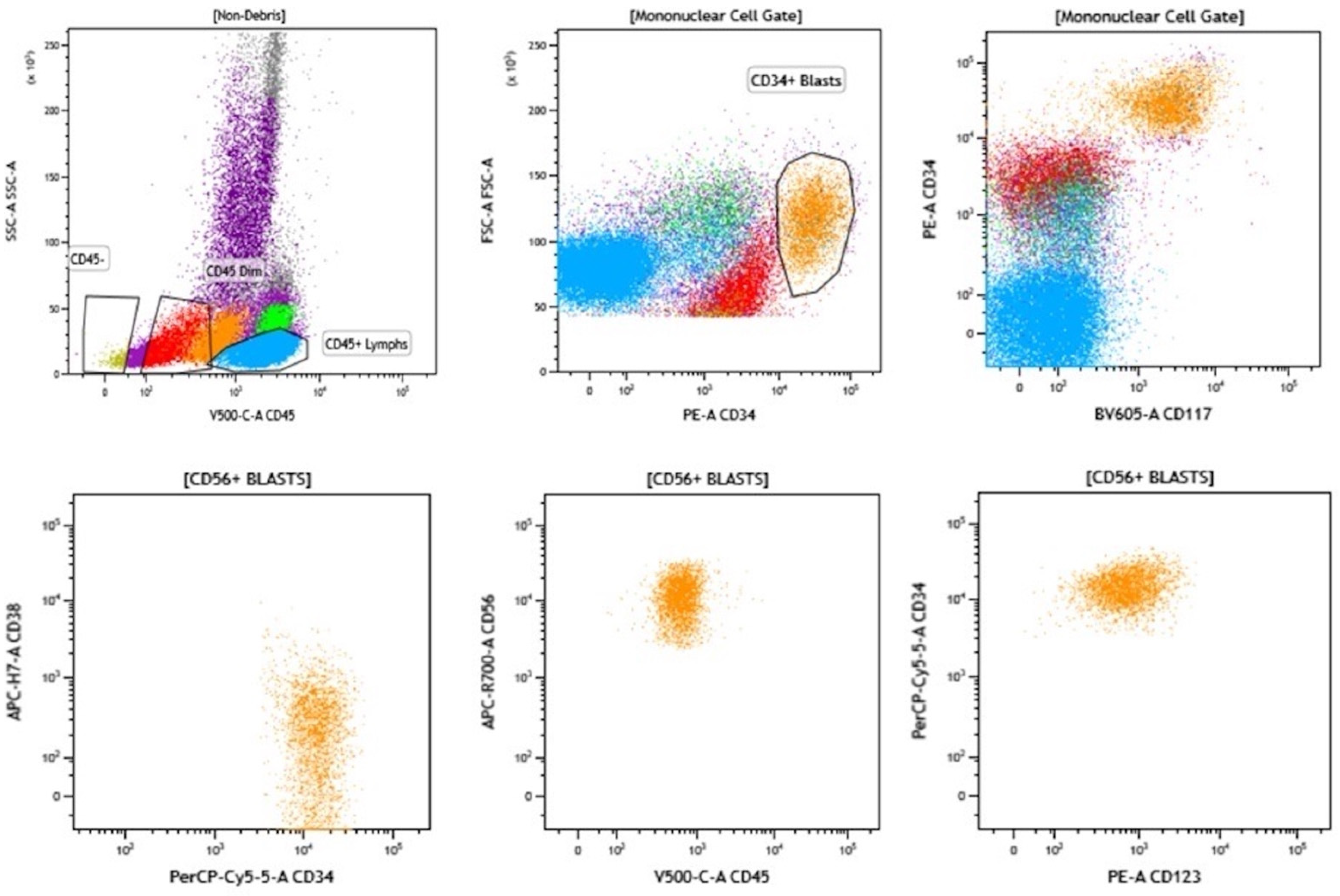 Cancers 16 01503 g002 Cancers 16 01503 g002