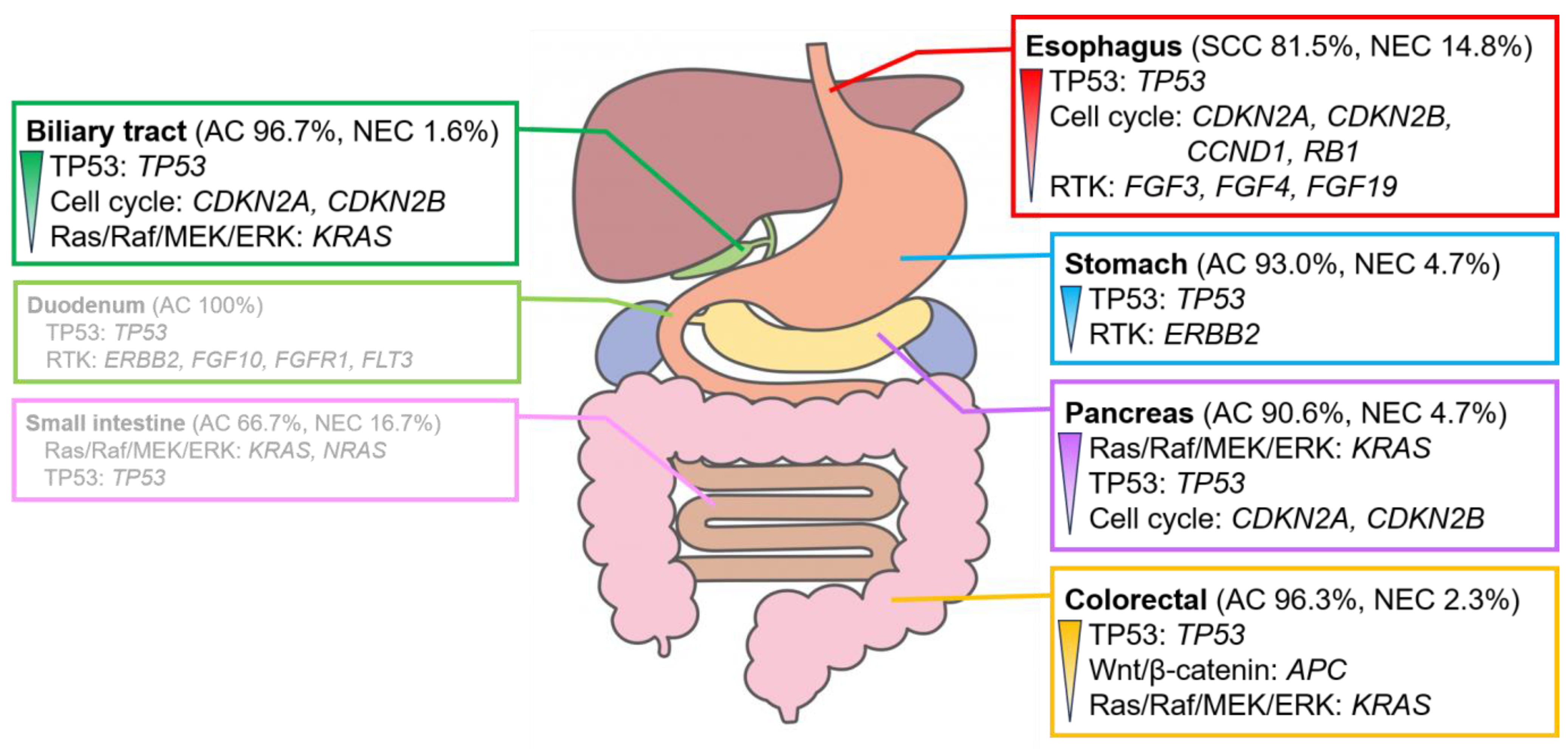 Cancers 16 01504 g003