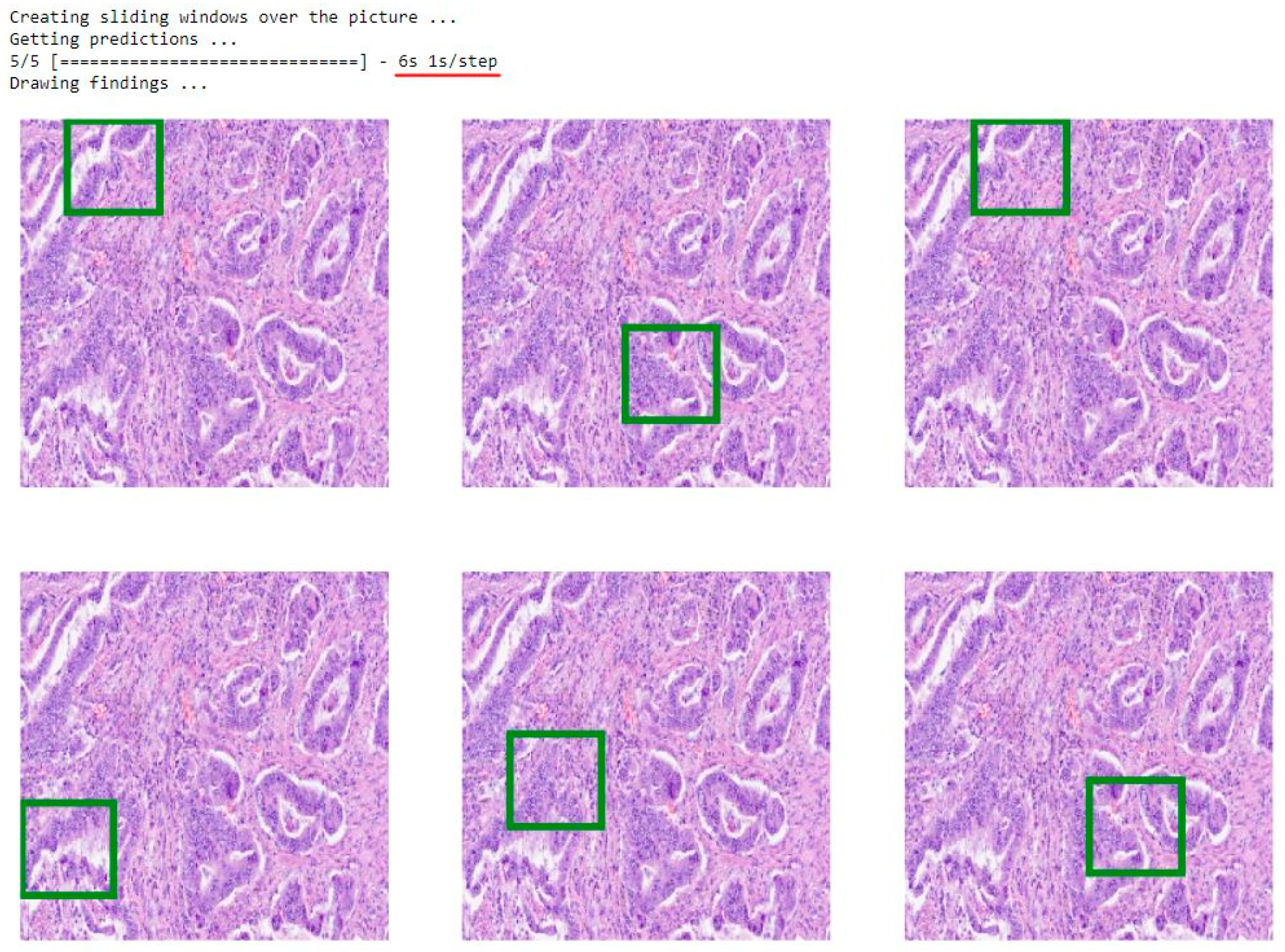 Cancers 16 01506 g003