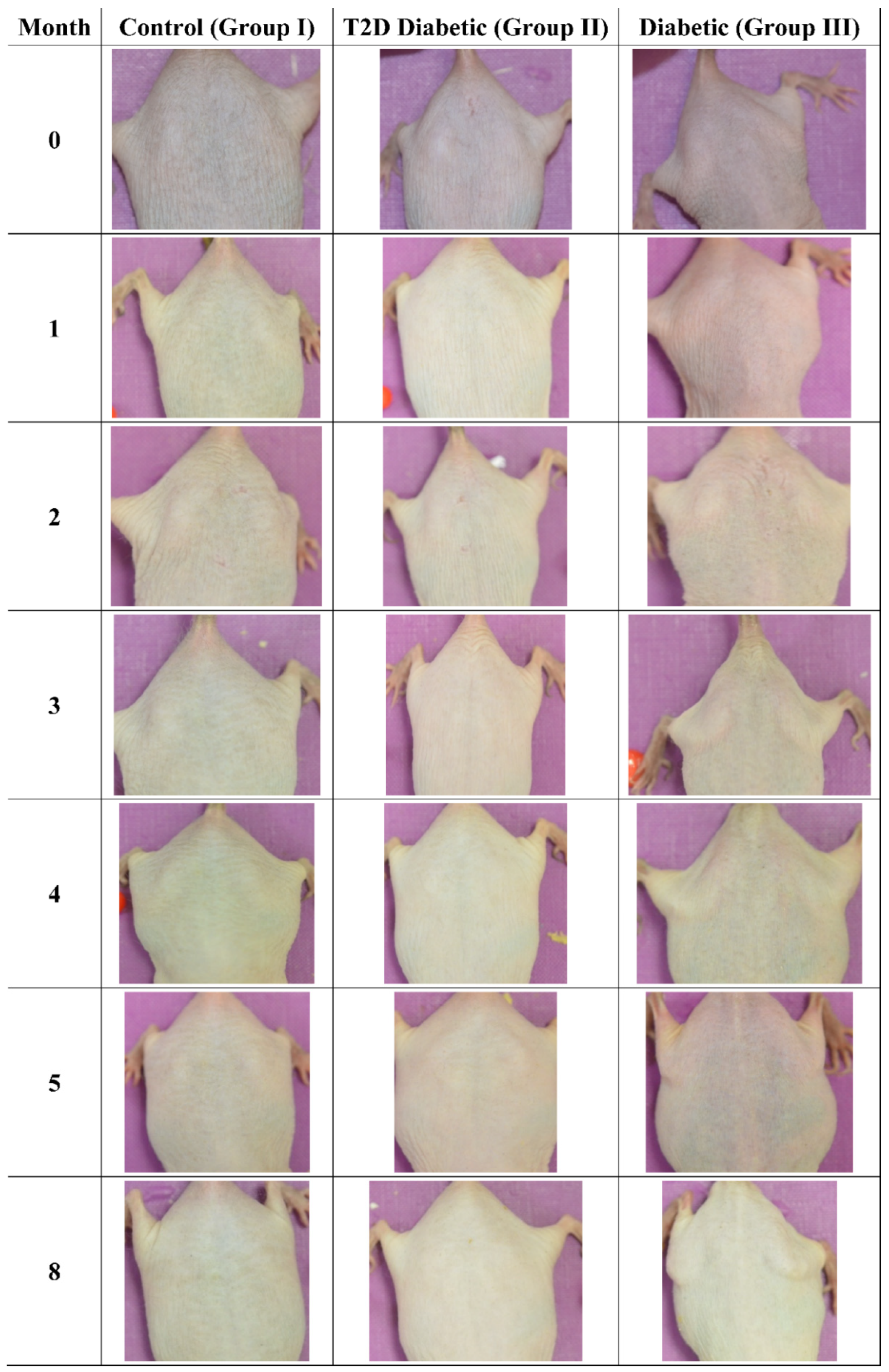 Cancers 16 01507 g013