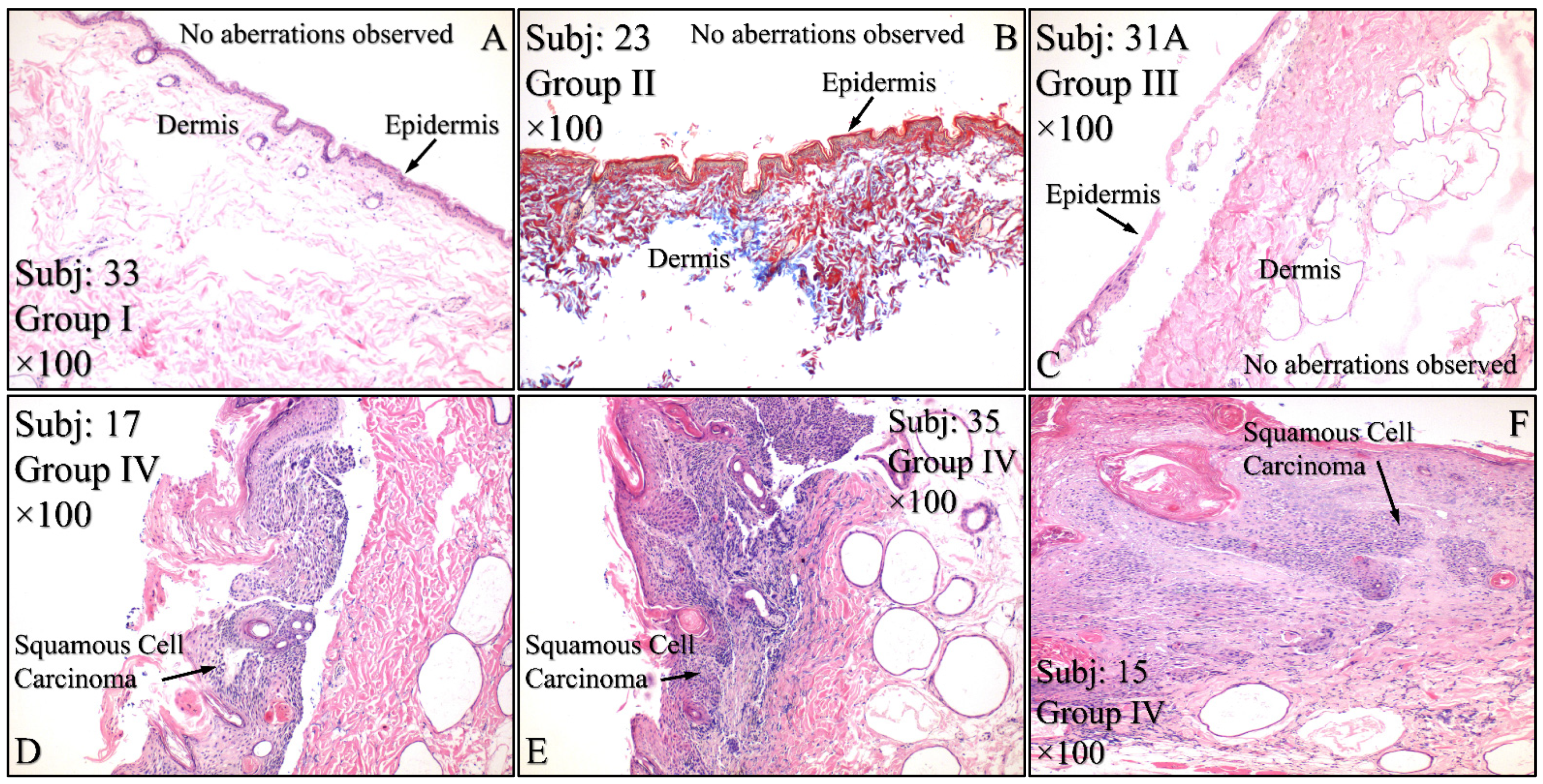 Cancers 16 01507 g015a
