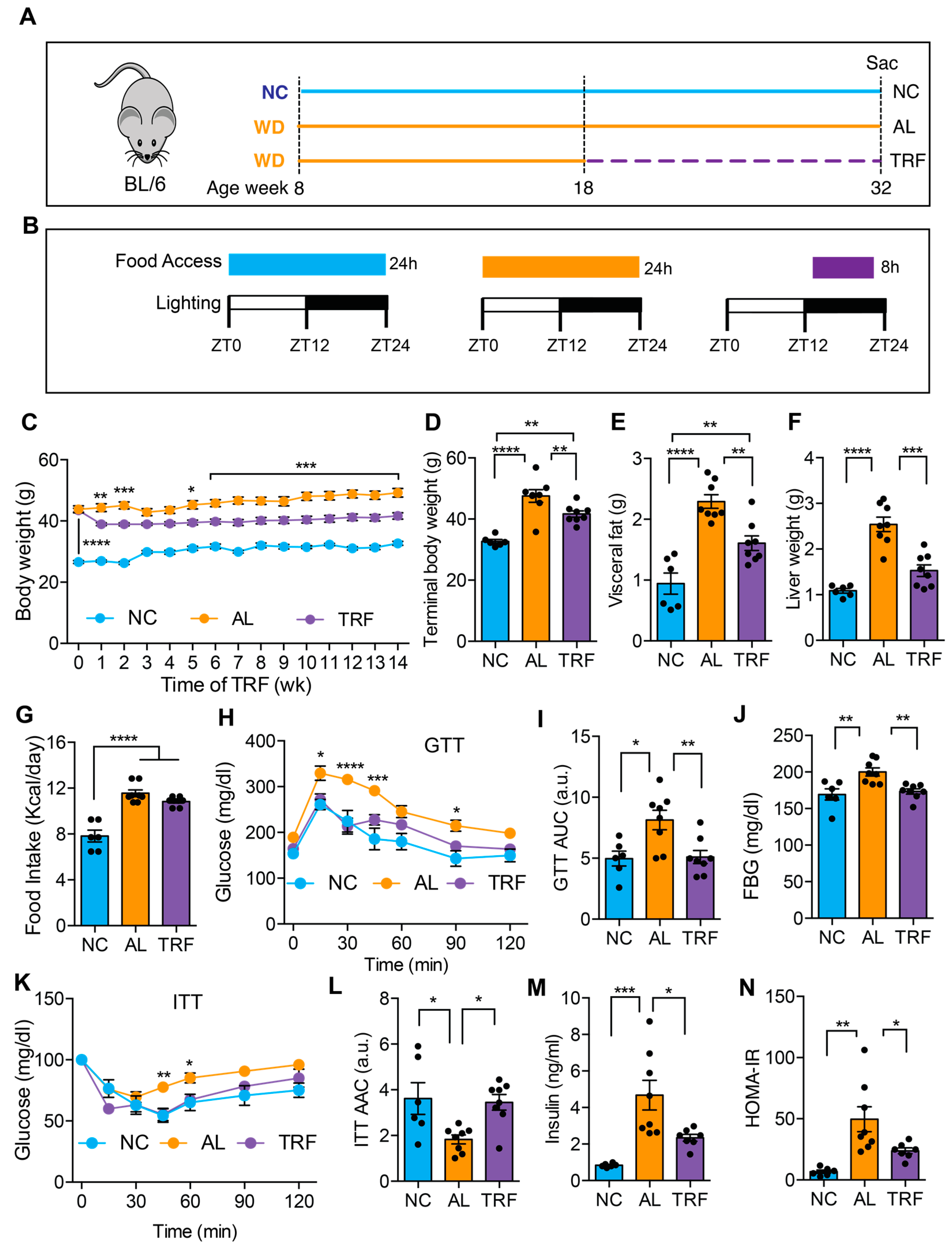 Cancers 16 01513 g001