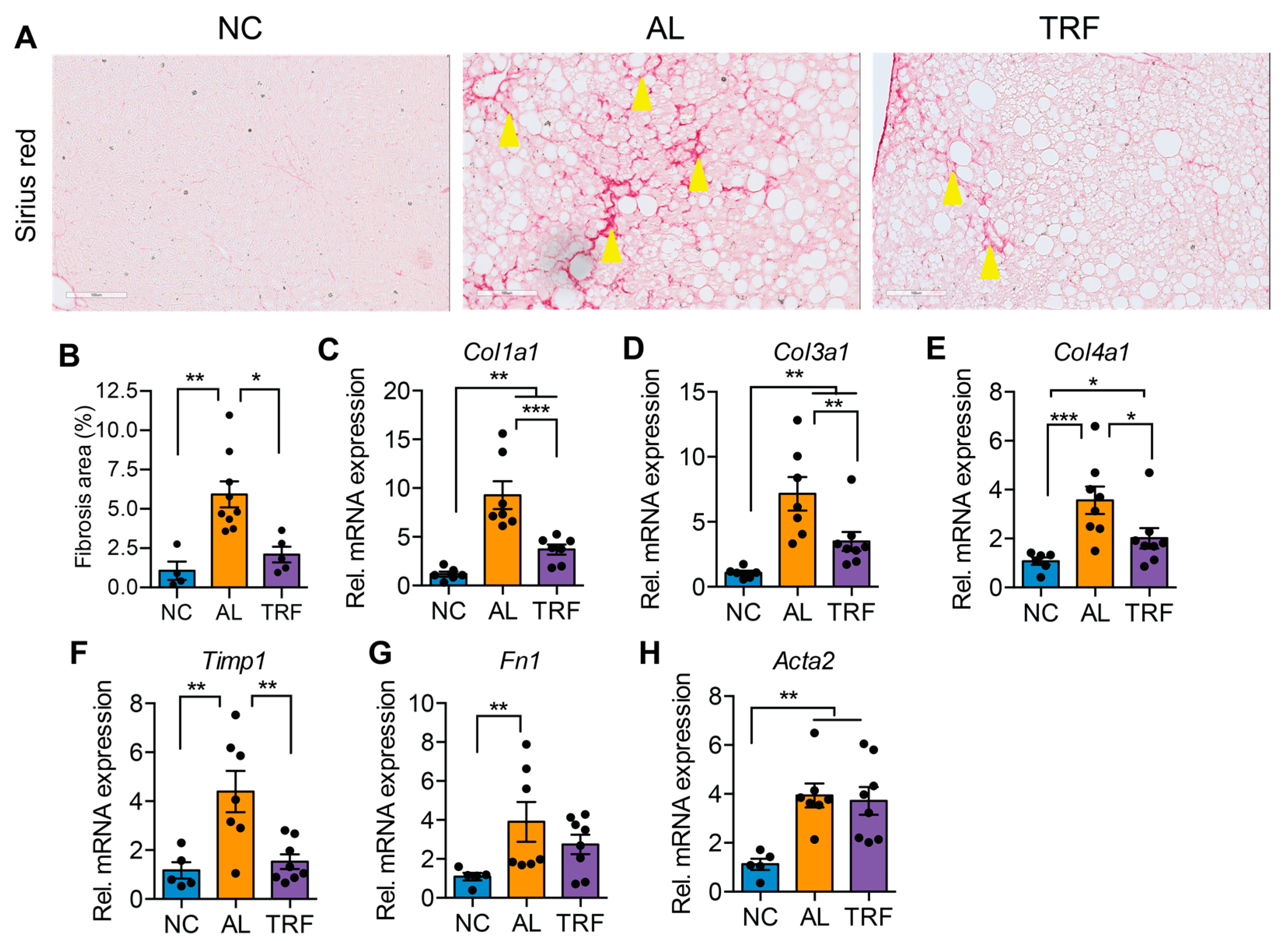 Cancers 16 01513 g004