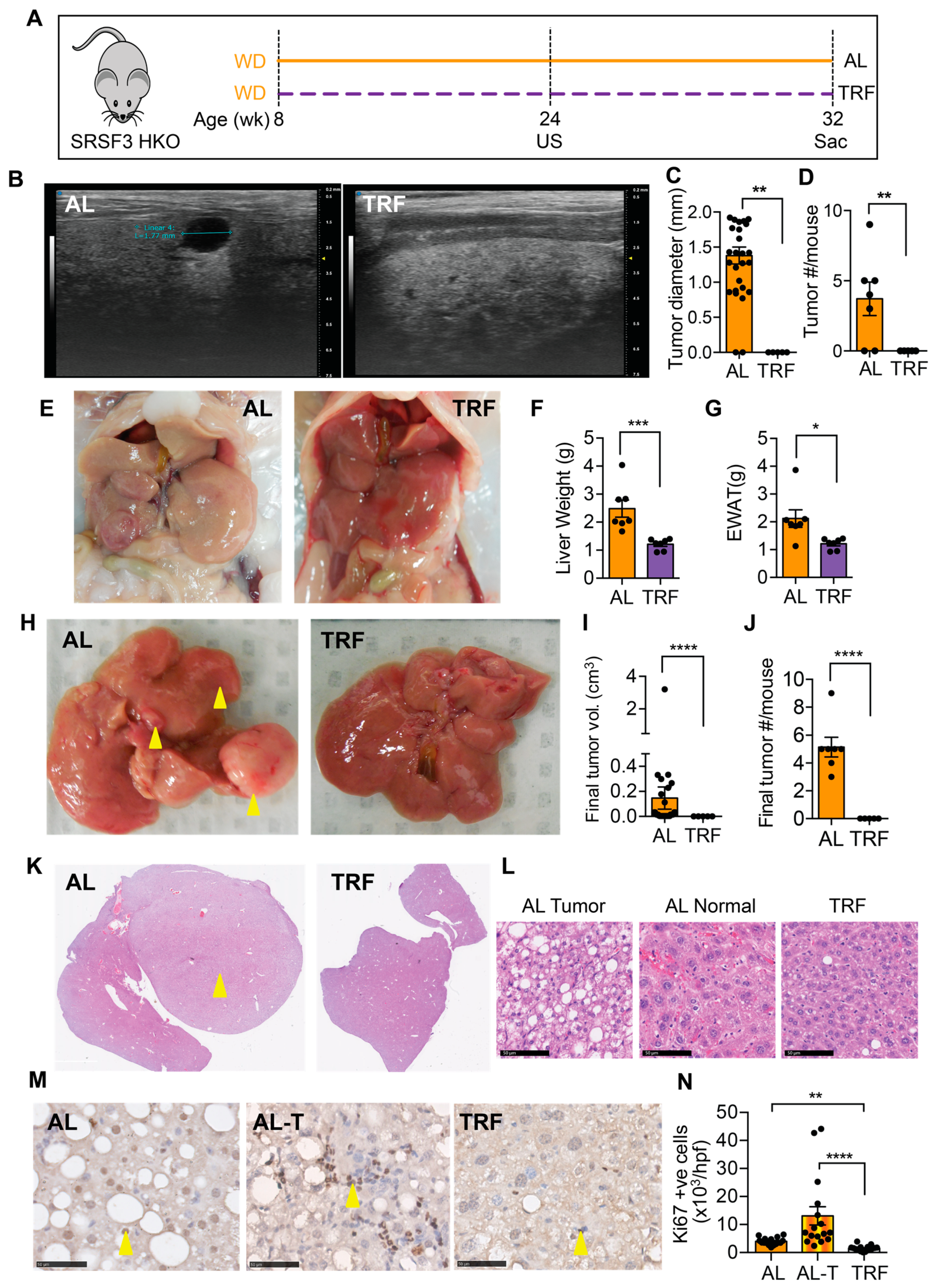 Cancers 16 01513 g005