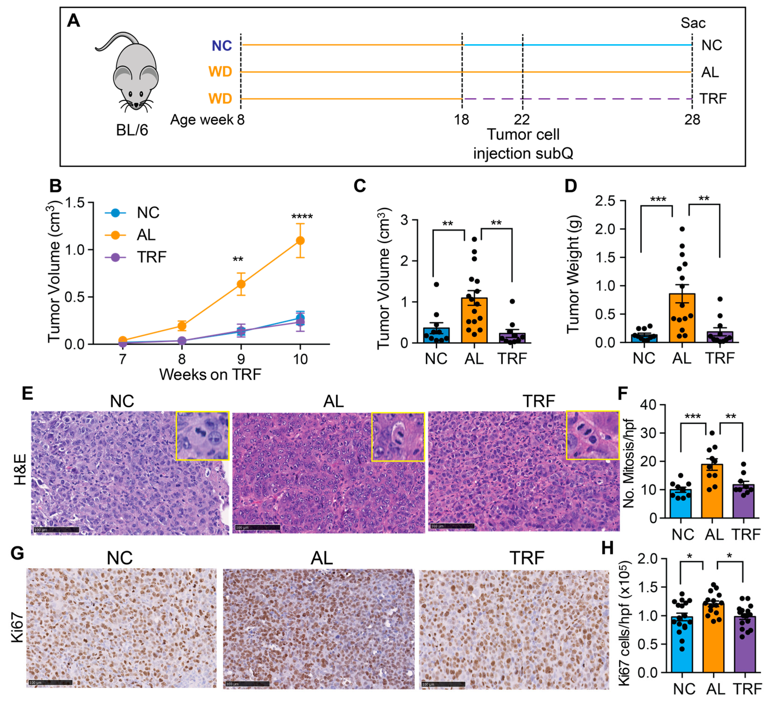 Cancers 16 01513 g006