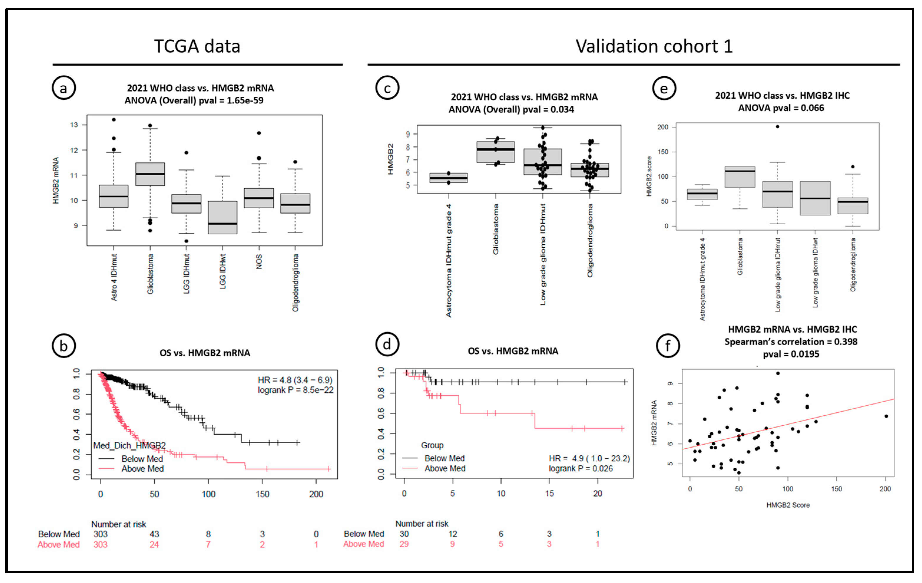 Cancers 16 01516 g003