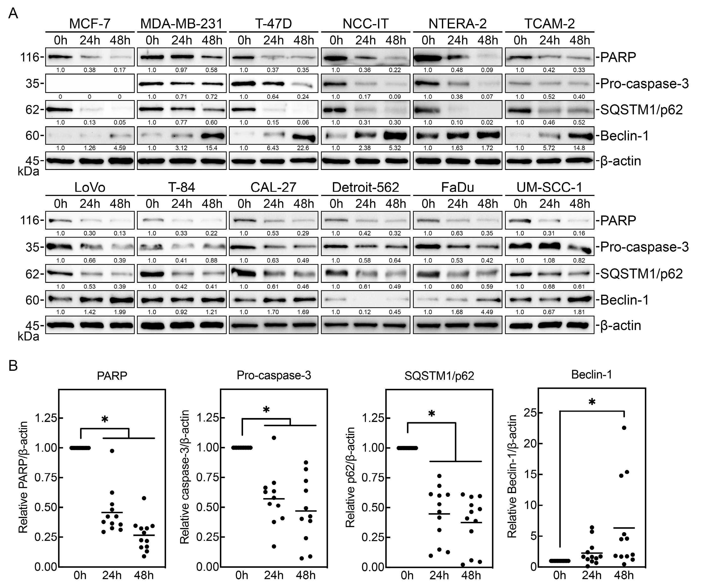 Cancers 16 01520 g002