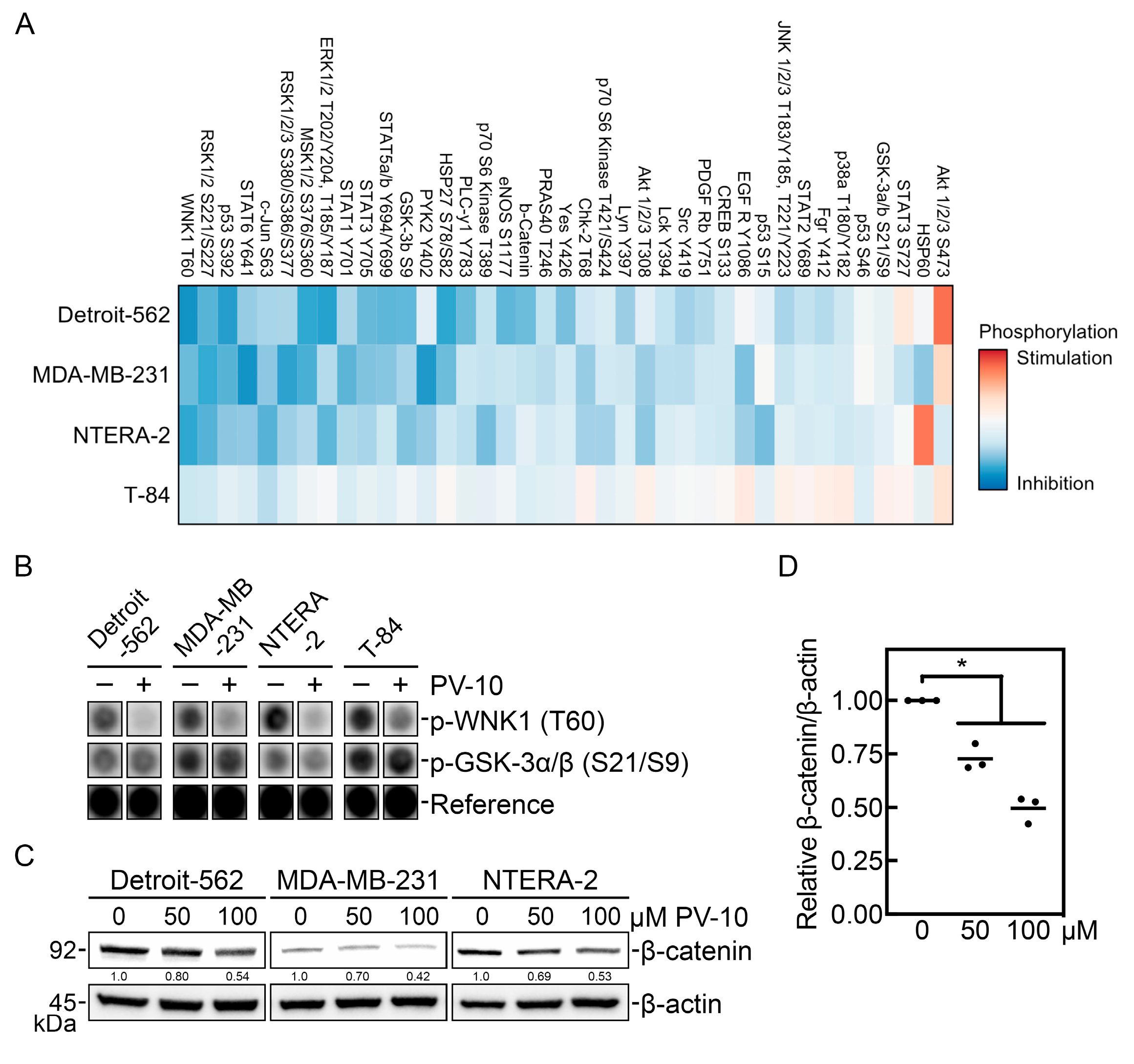 Cancers 16 01520 g003