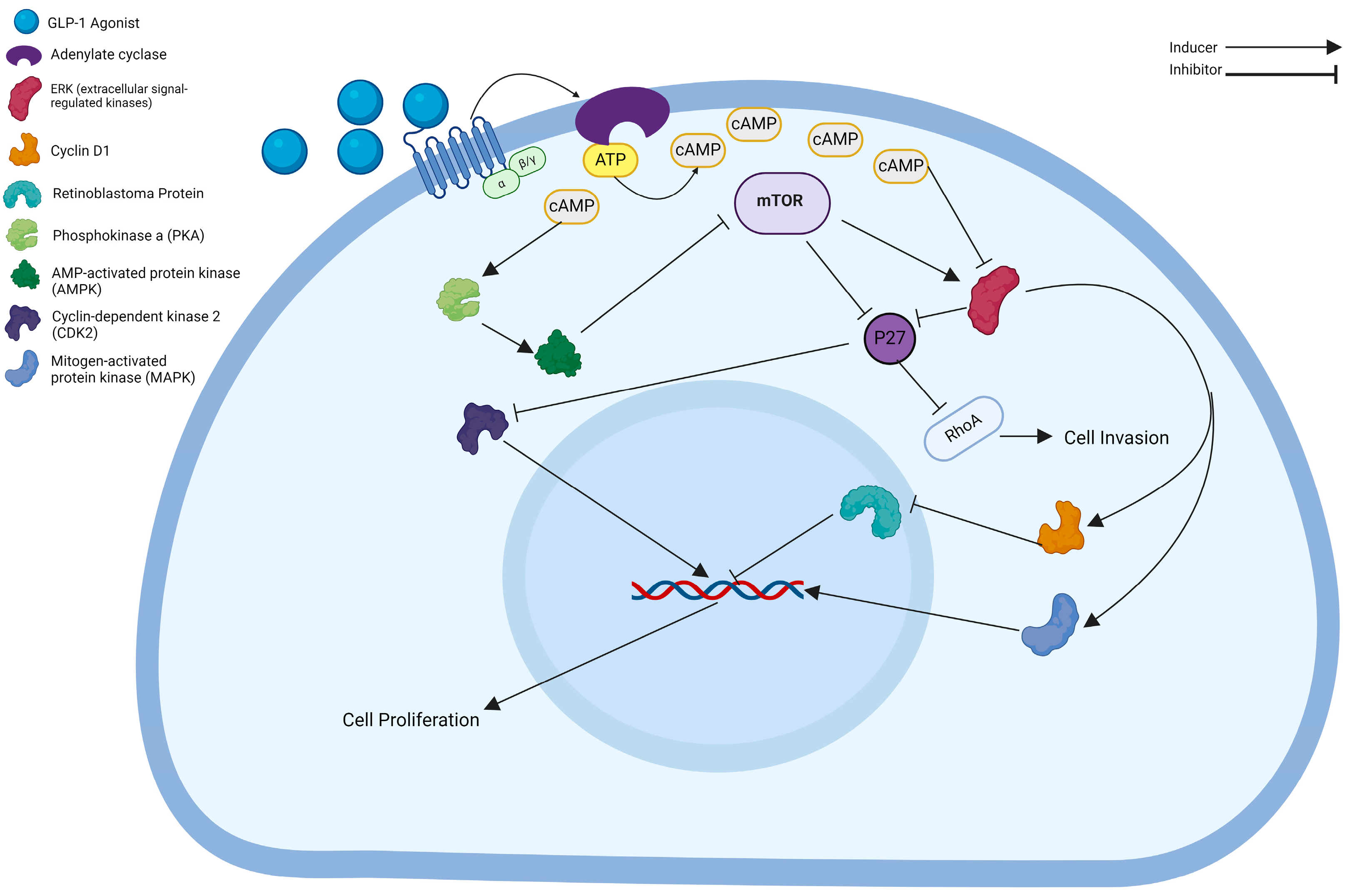 Cancers 16 01538 g001