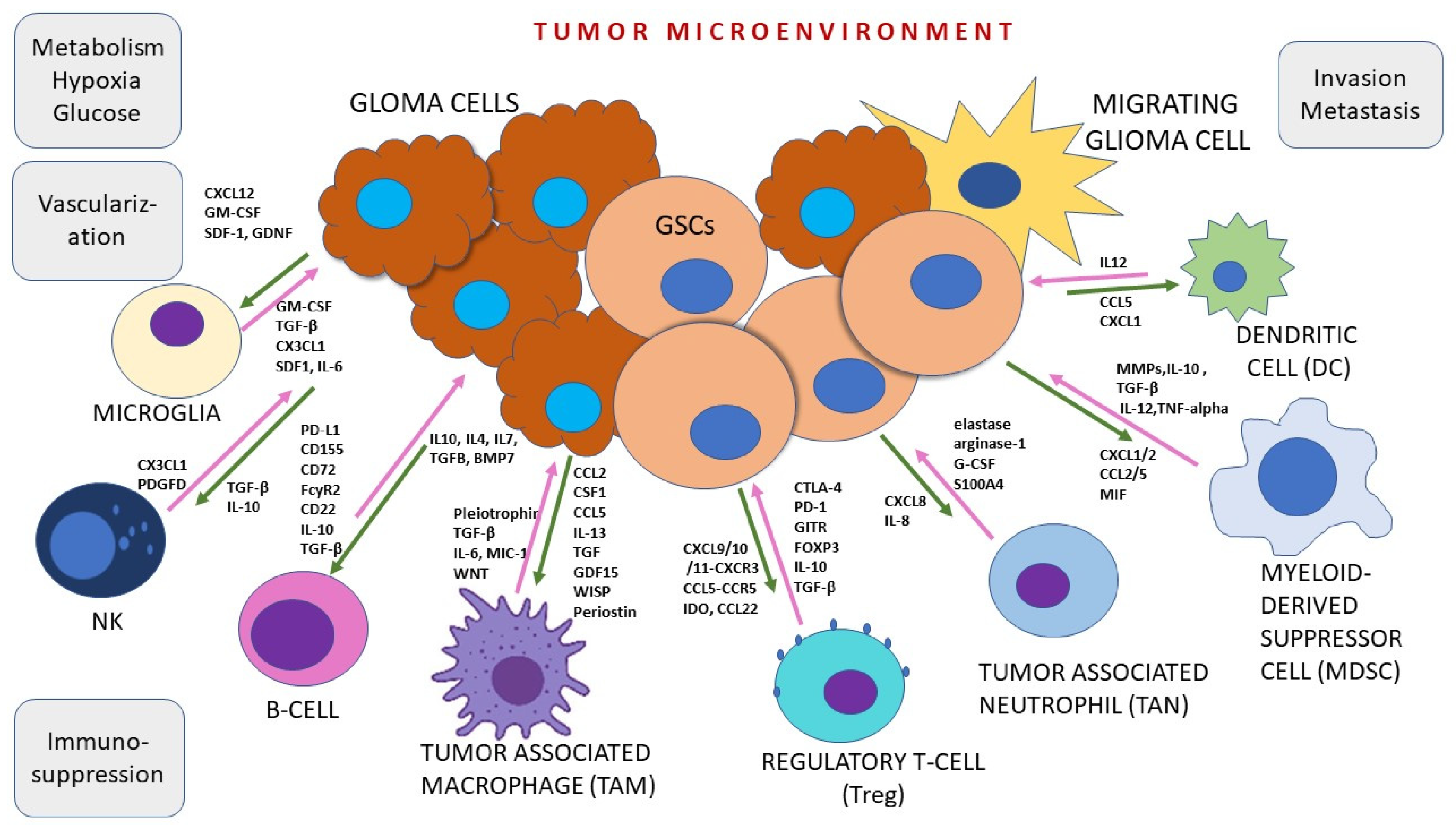 Cancers 16 01557 g002