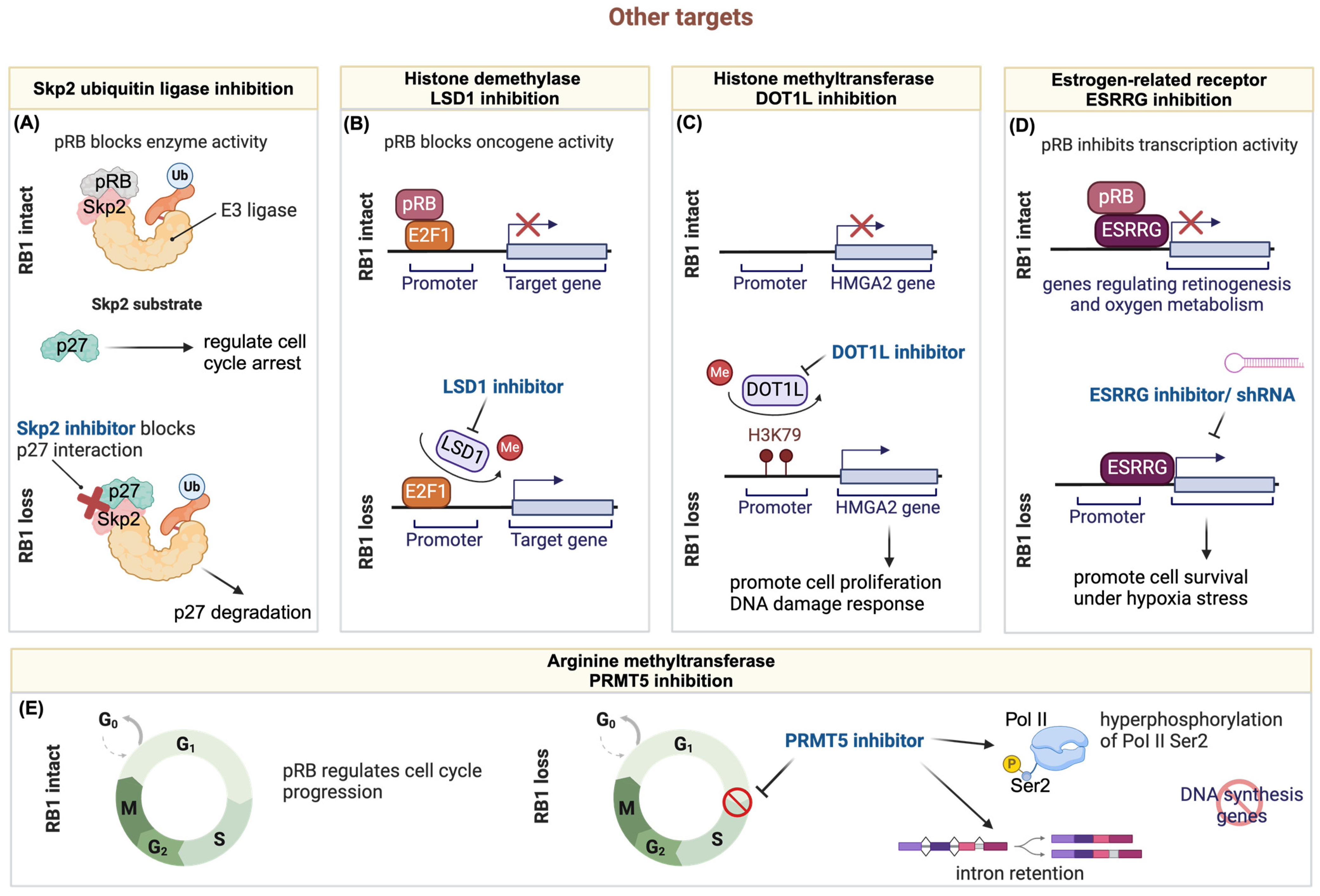 Cancers 16 01558 g003 Cancers 16 01558 g003