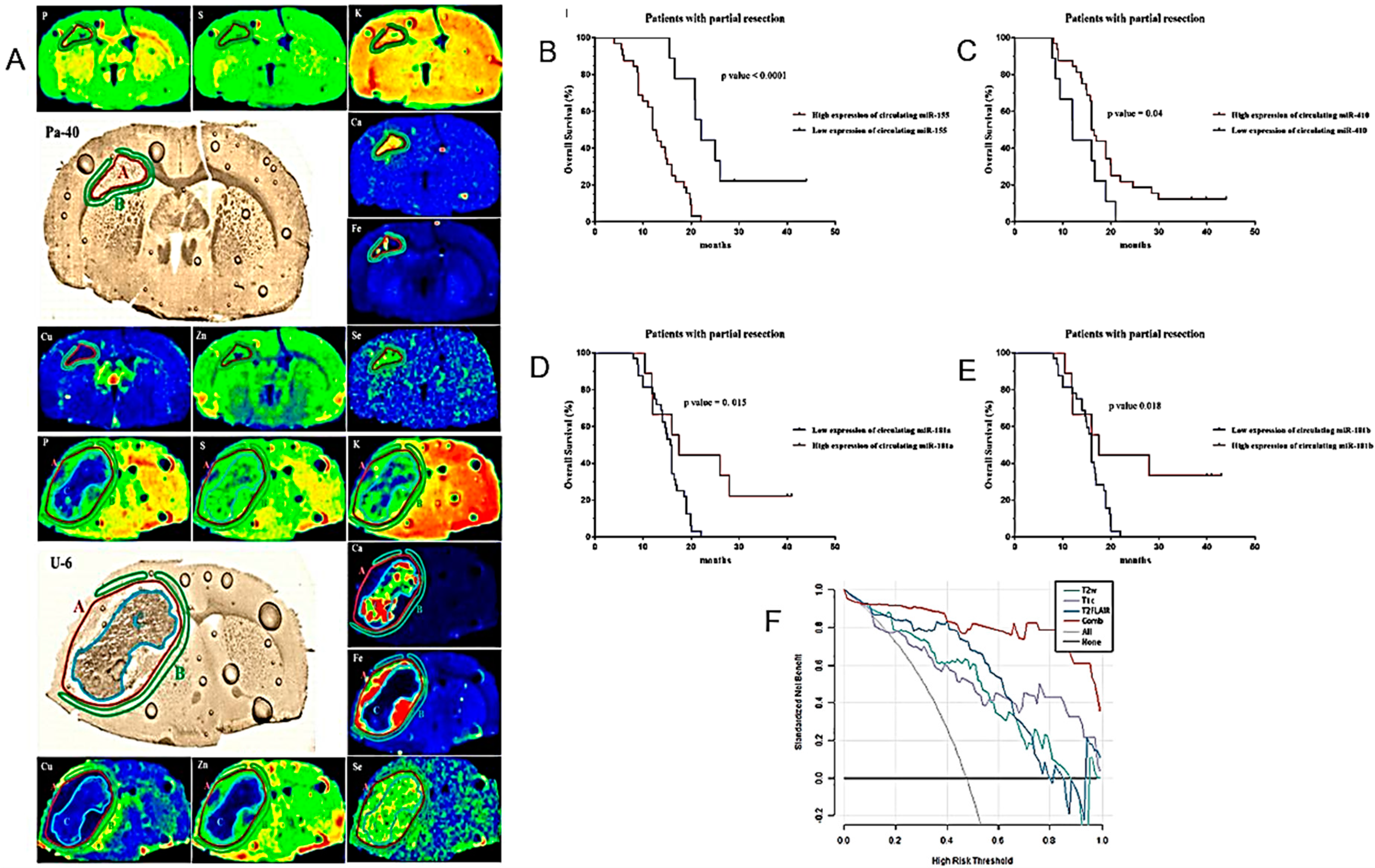 Cancers 16 01566 g010