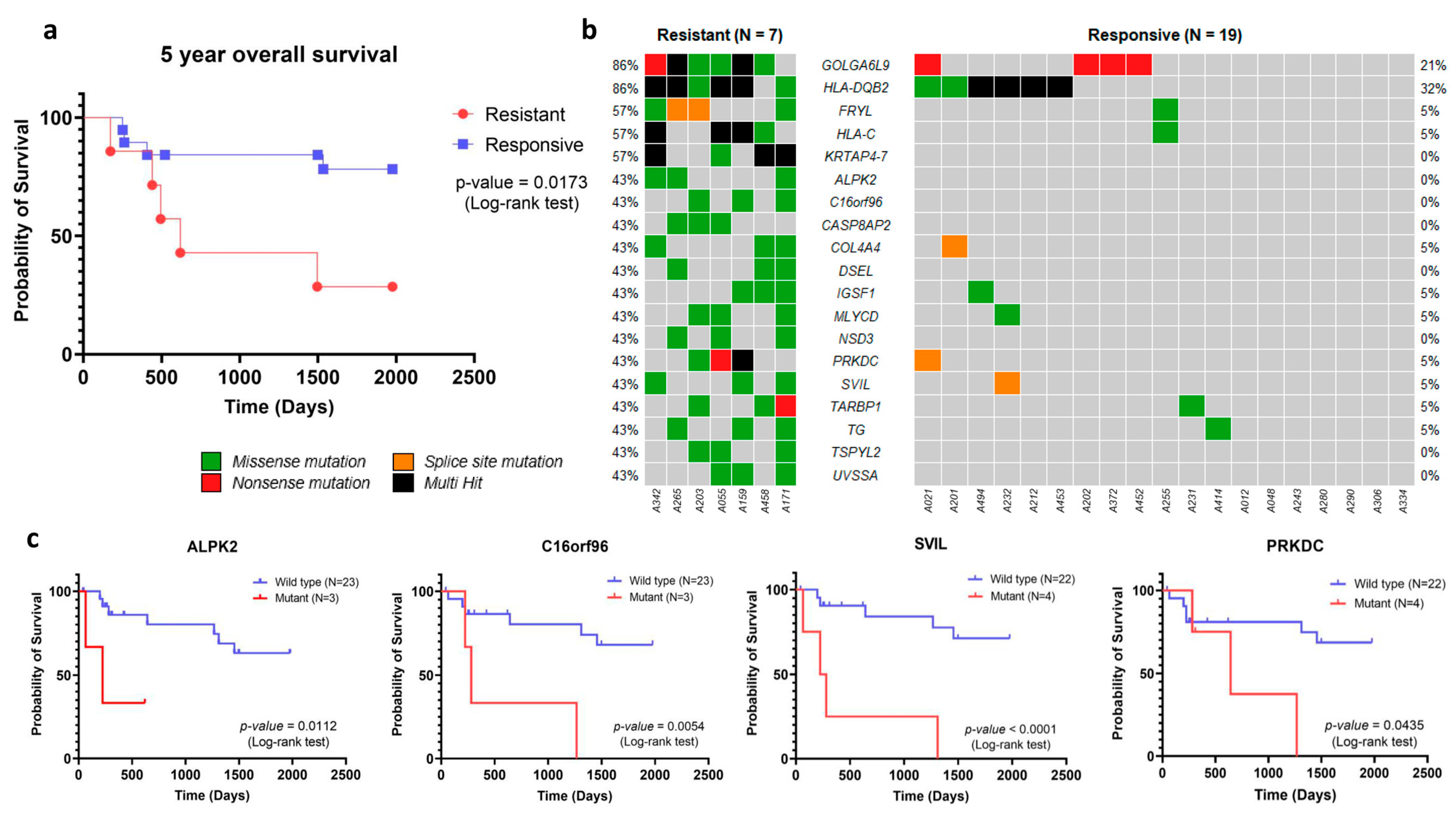 Cancers 16 01567 g004