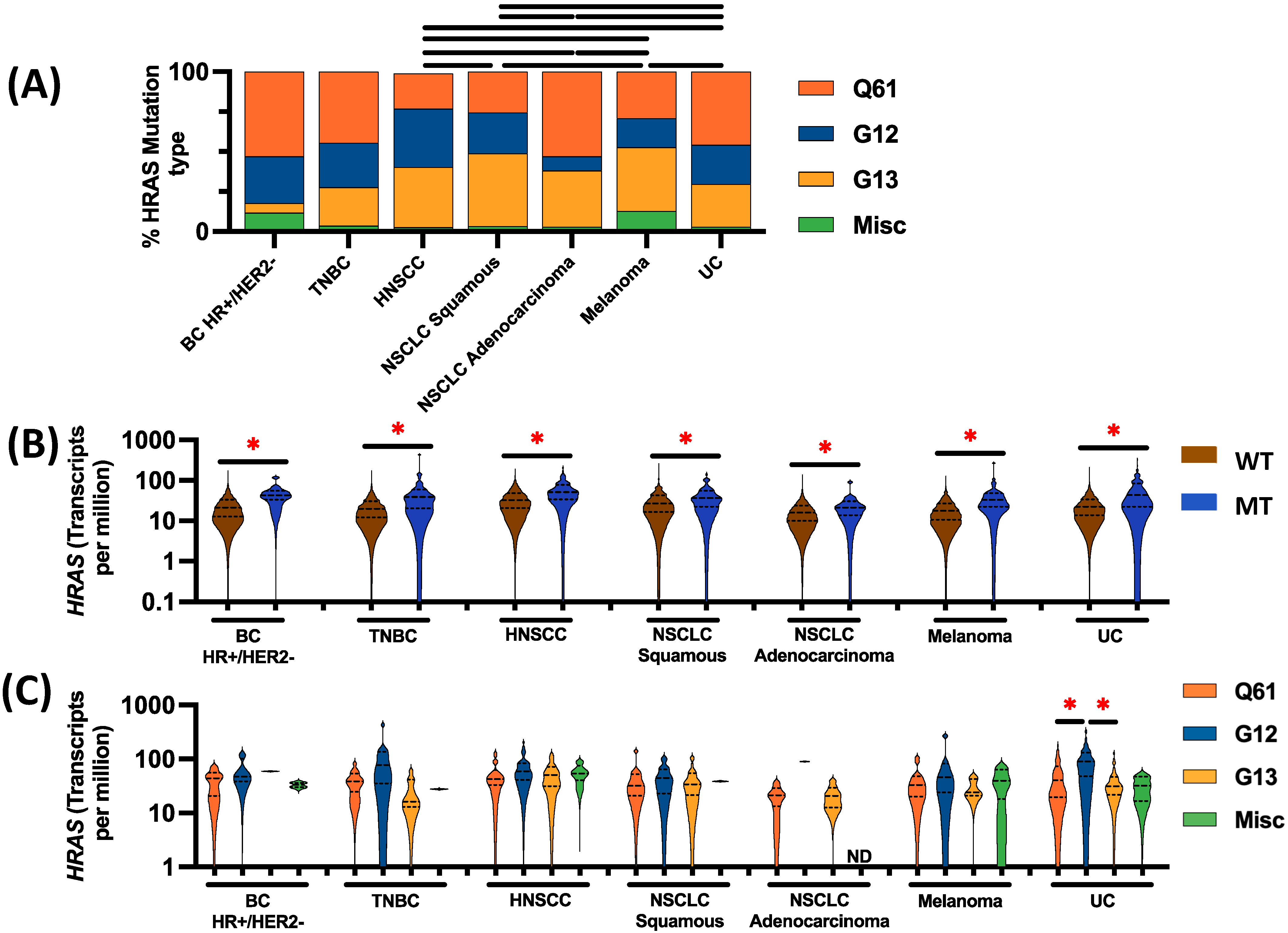 Cancers 16 01572 g001