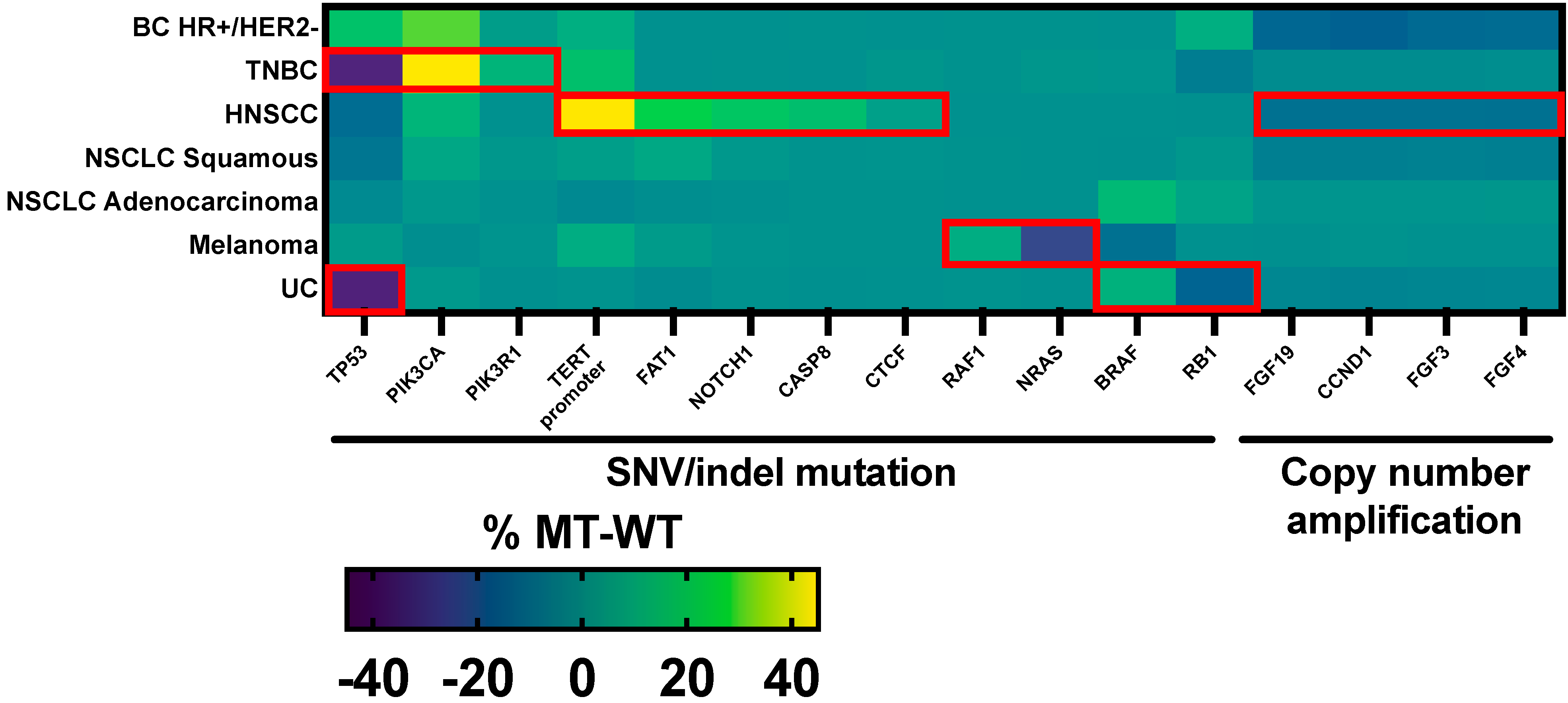 Cancers 16 01572 g002