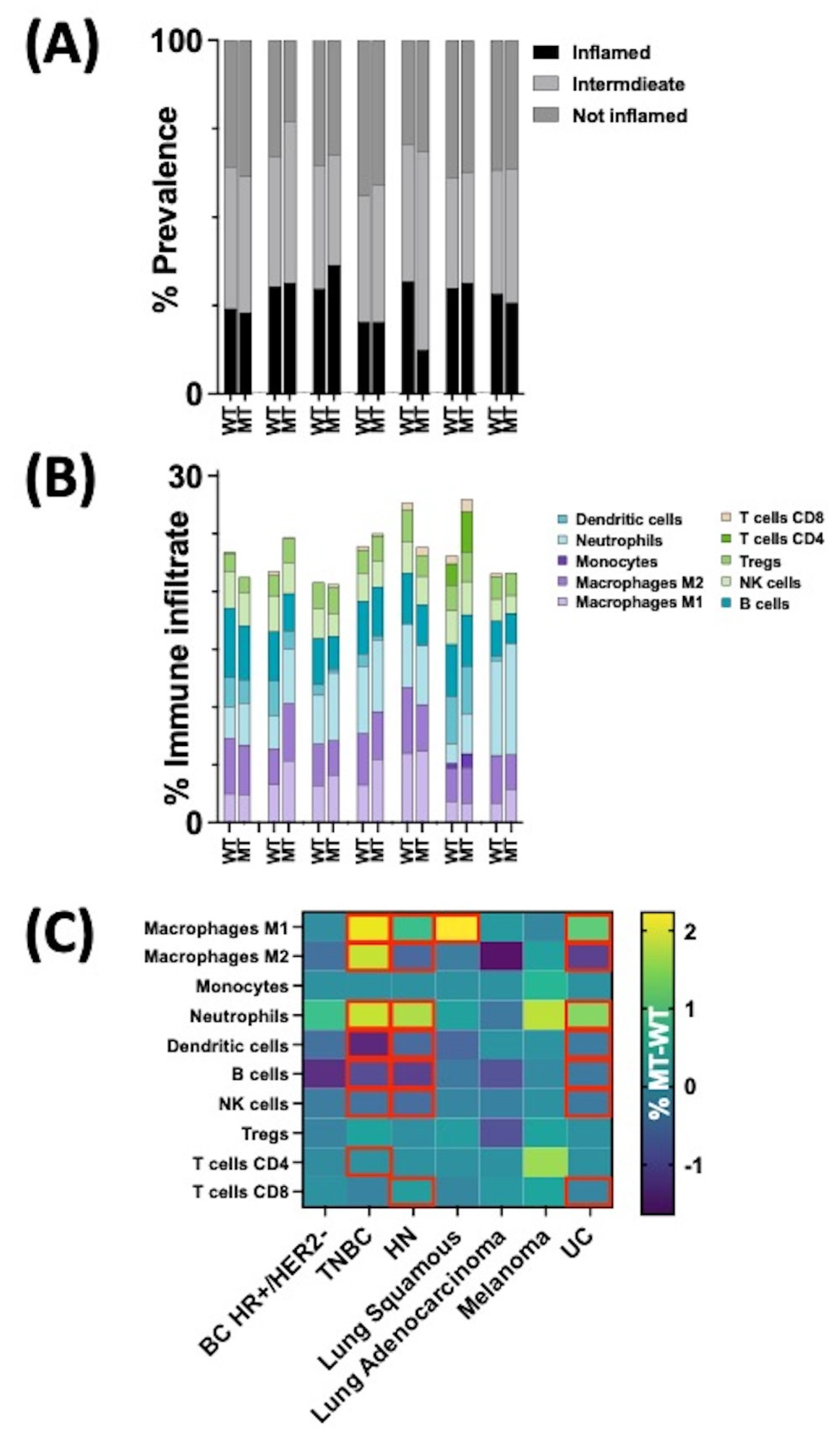 Cancers 16 01572 g004