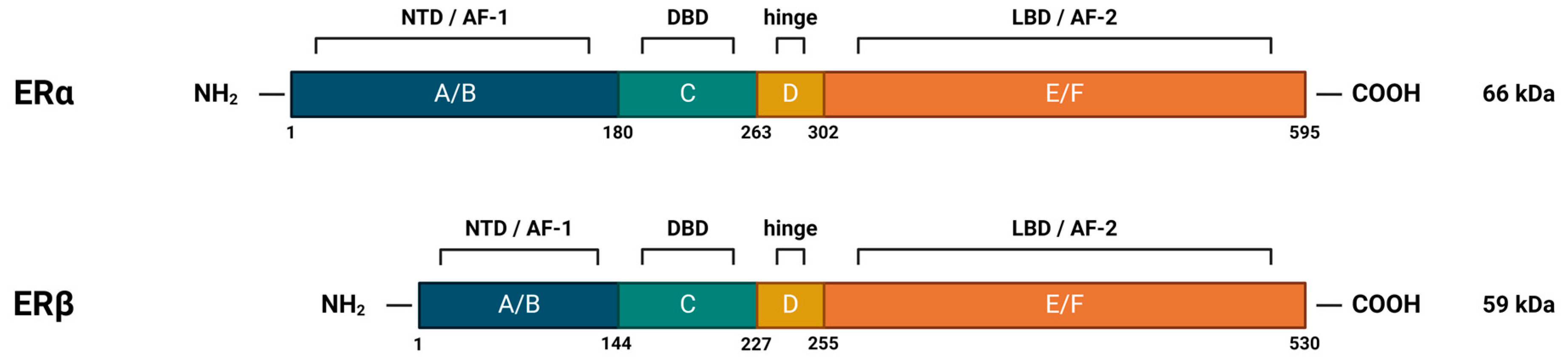 Cancers 16 01575 g004 Cancers 16 01575 g004