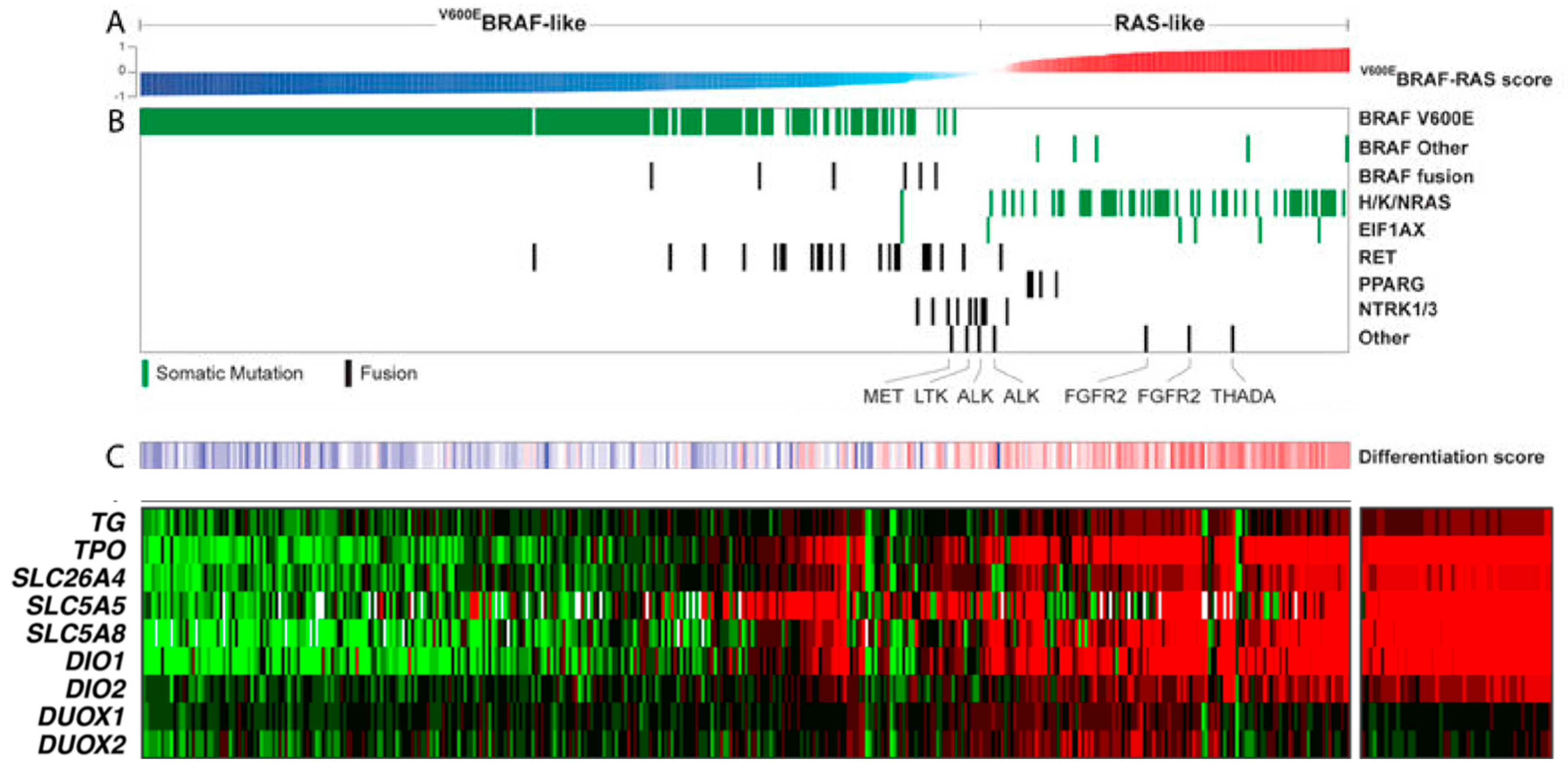 Cancers 16 01585 g001