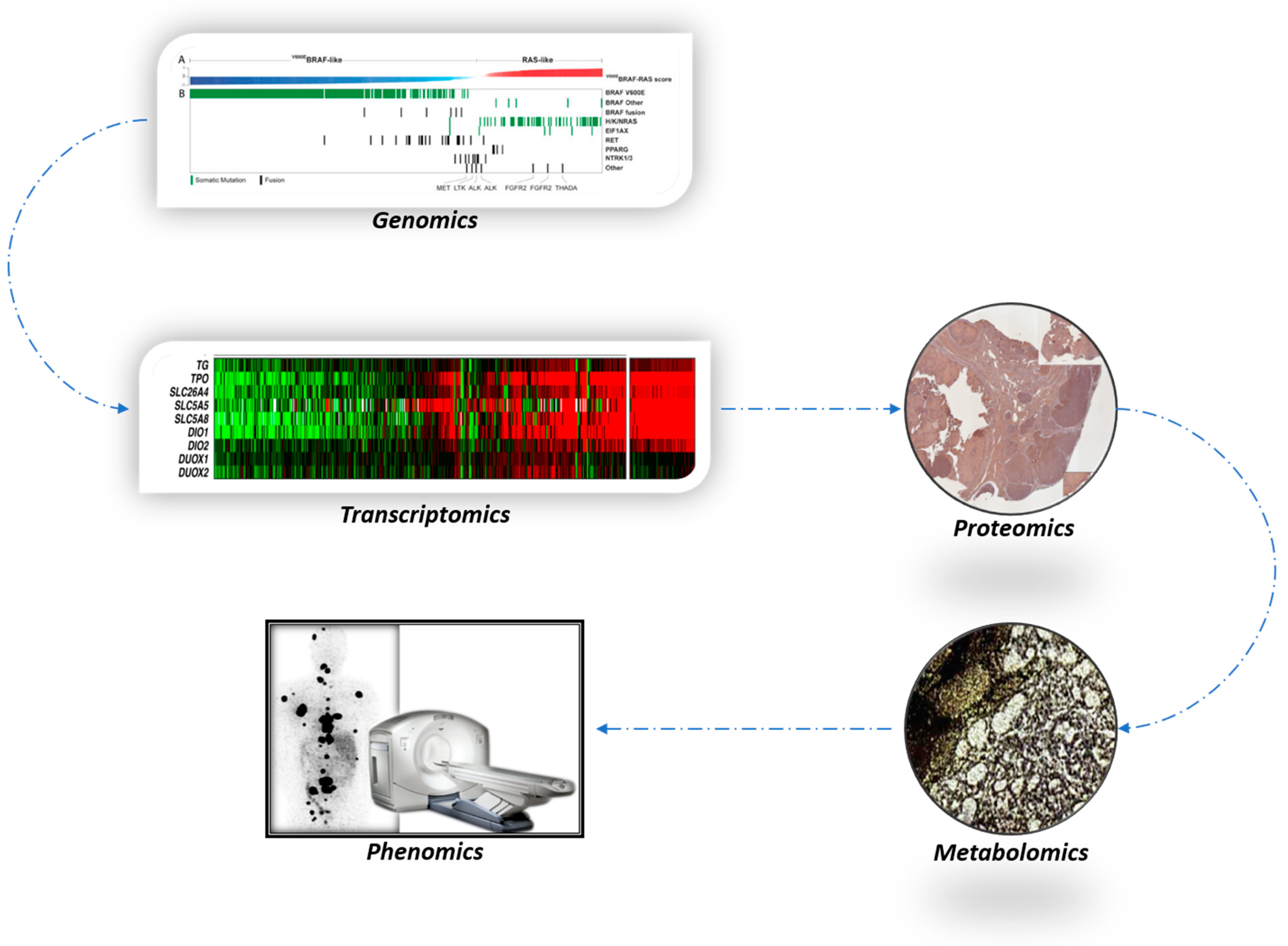 Cancers 16 01585 g003