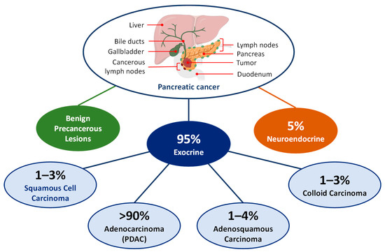 Targeted Nanoparticle-Based Diagnostic and Treatment Options