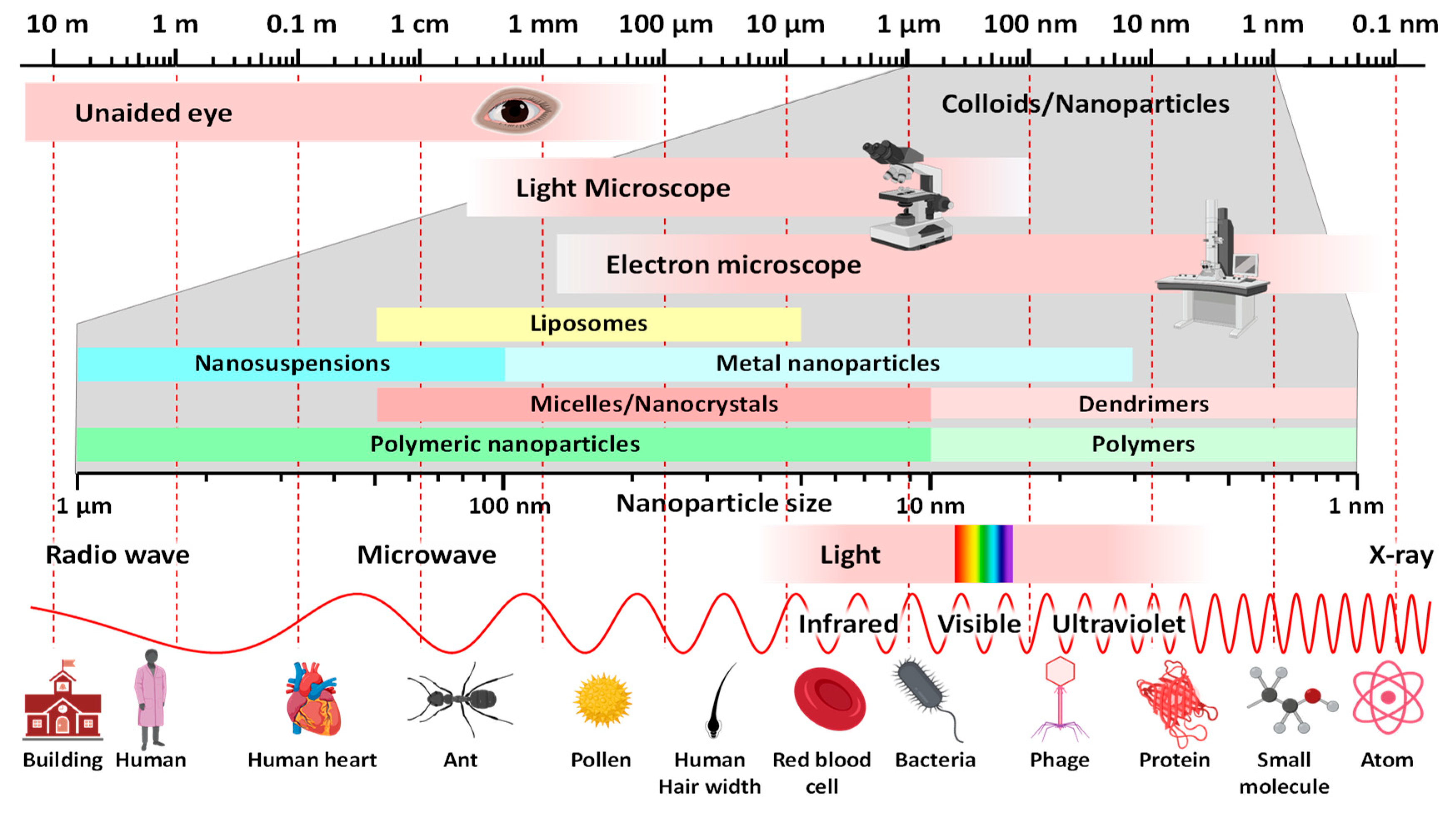 Cancers 16 01589 g005