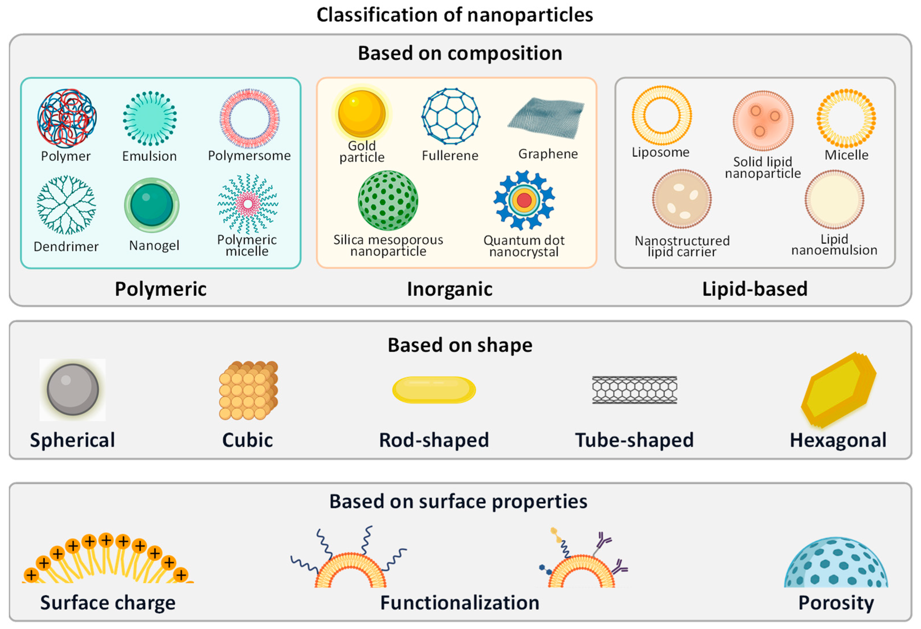 Cancers 16 01589 g006