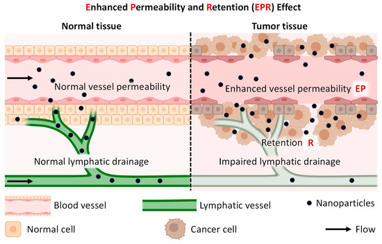 Endothelial cells inflammation in vascular-related diseases