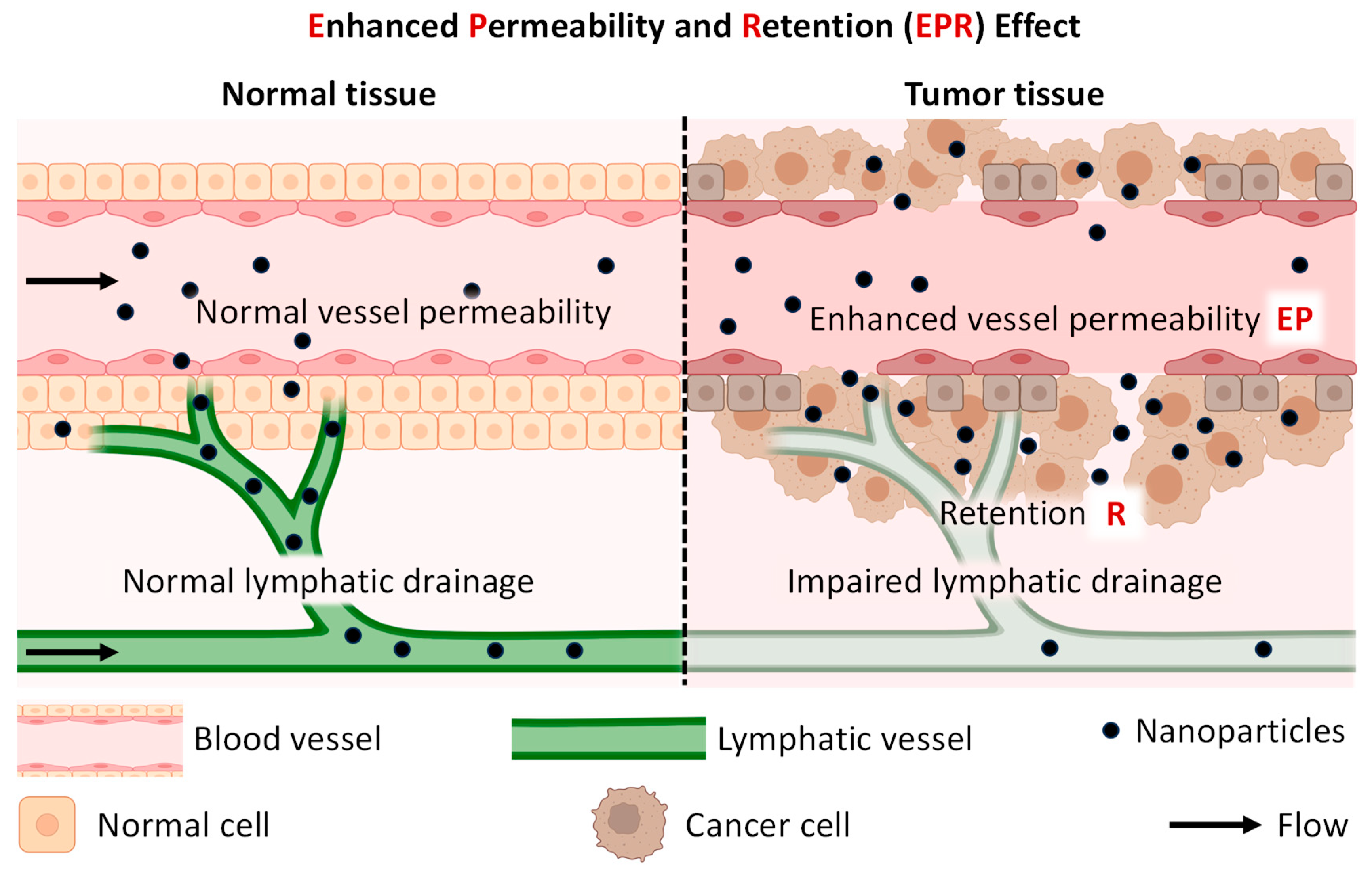 Cancers 16 01589 g007