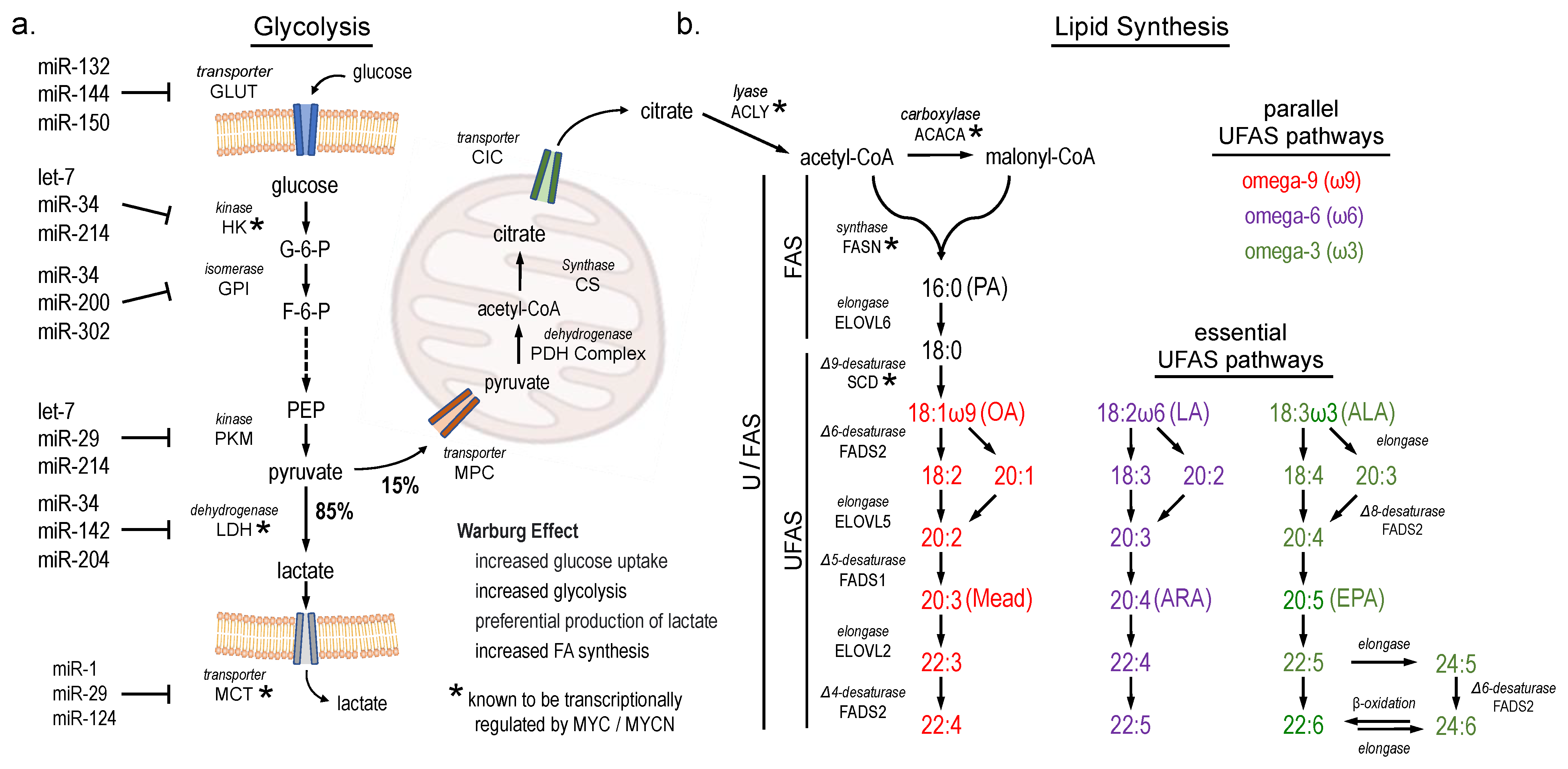 Cancers 16 01590 g001