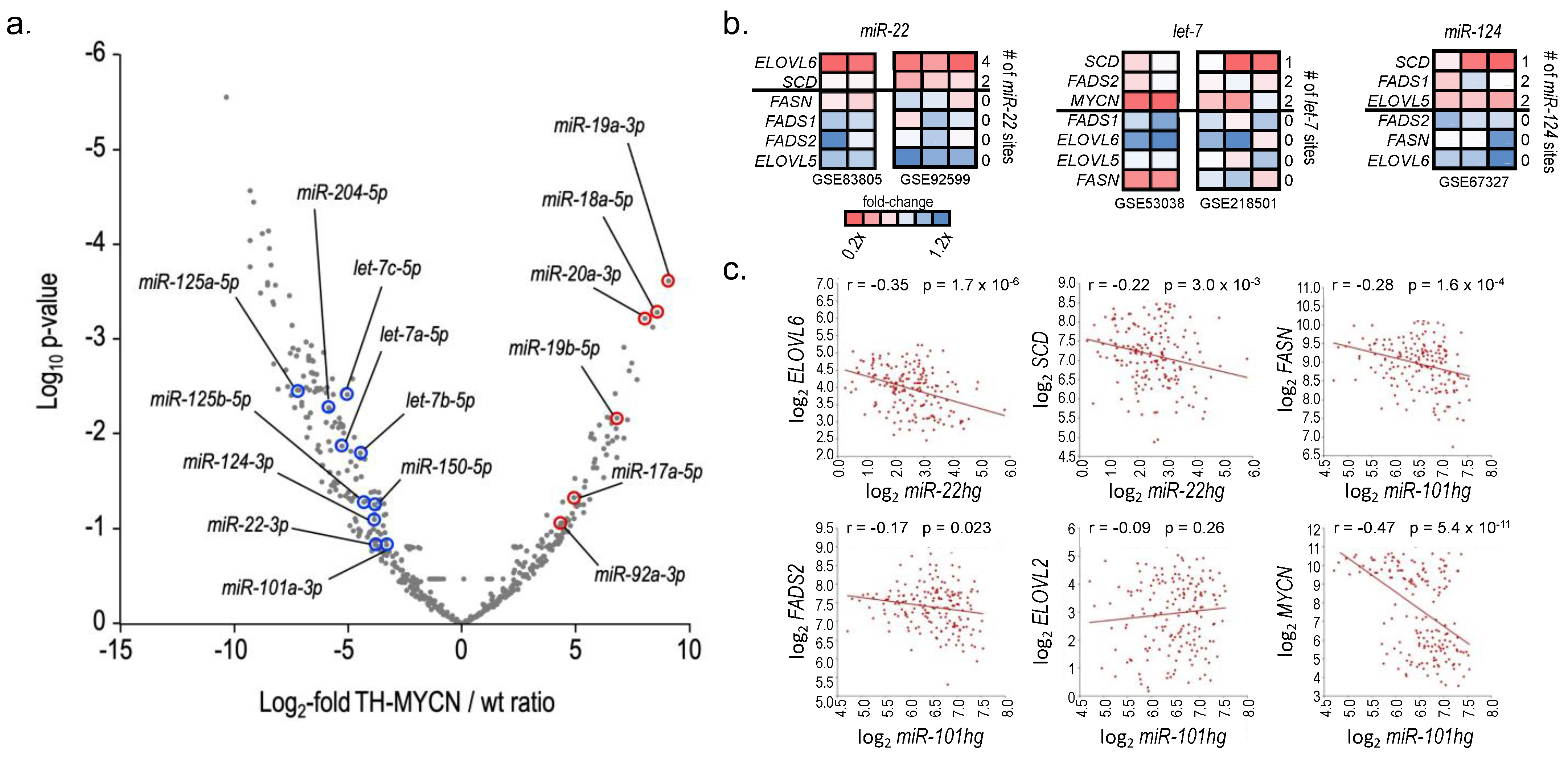 Cancers 16 01590 g008