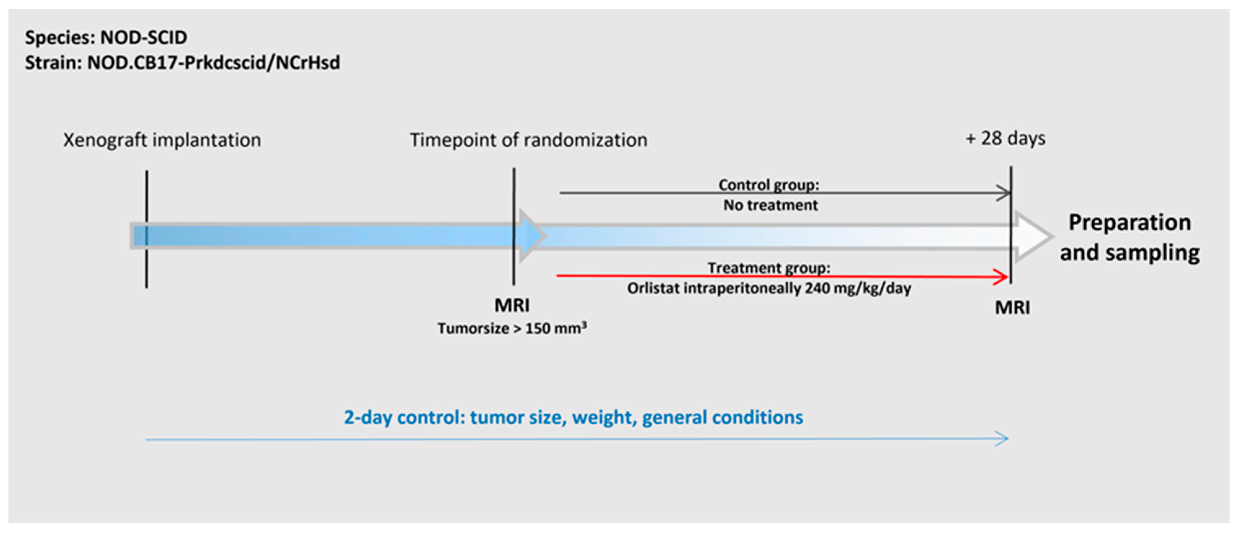 Cancers 16 01591 g001