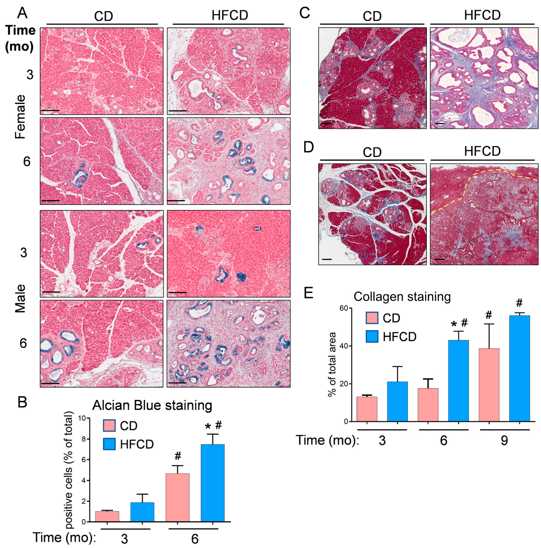 Cancers 16 01593 g002