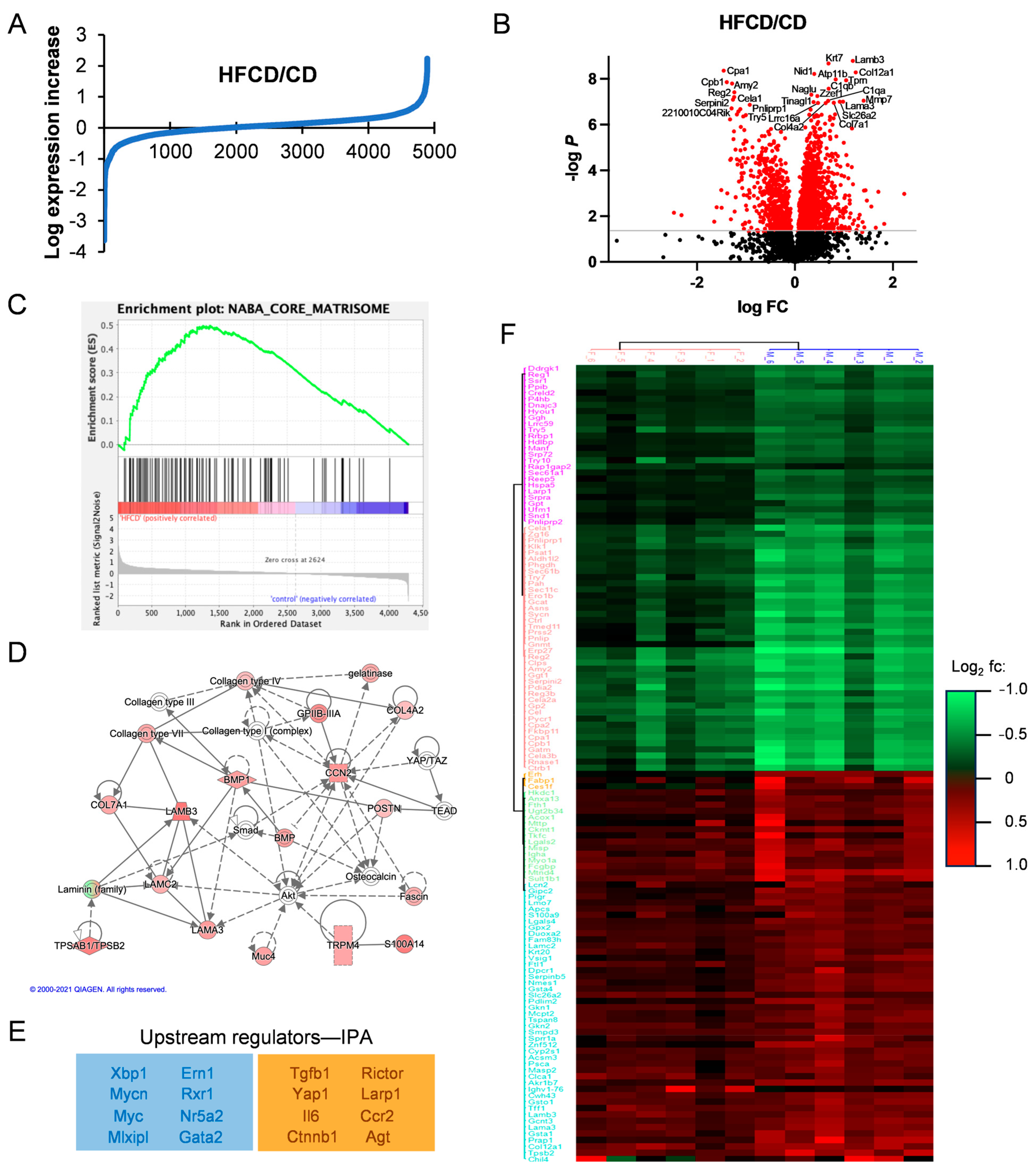 Cancers 16 01593 g003