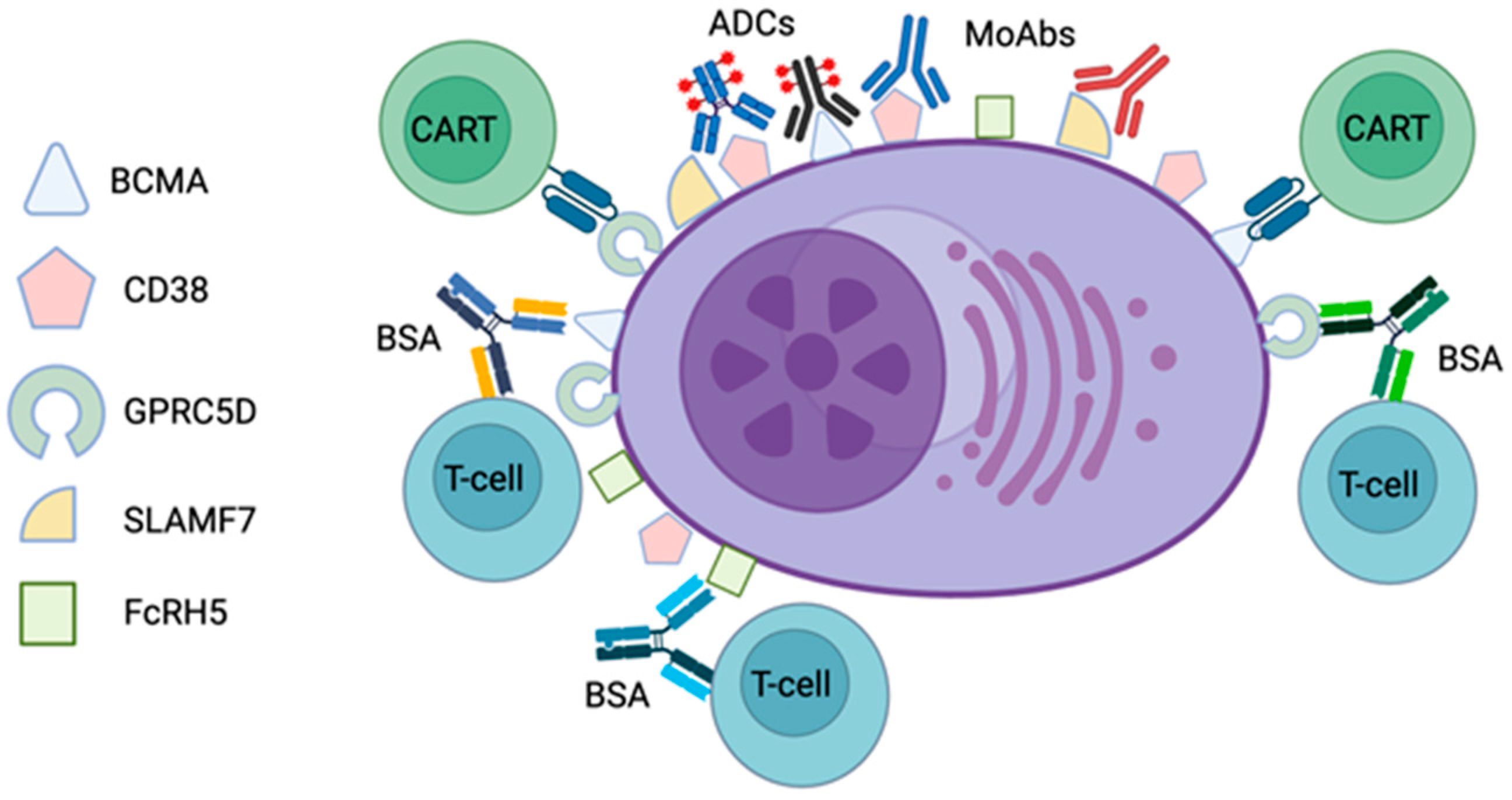 Cancers 16 01605 g001 Cancers 16 01605 g001