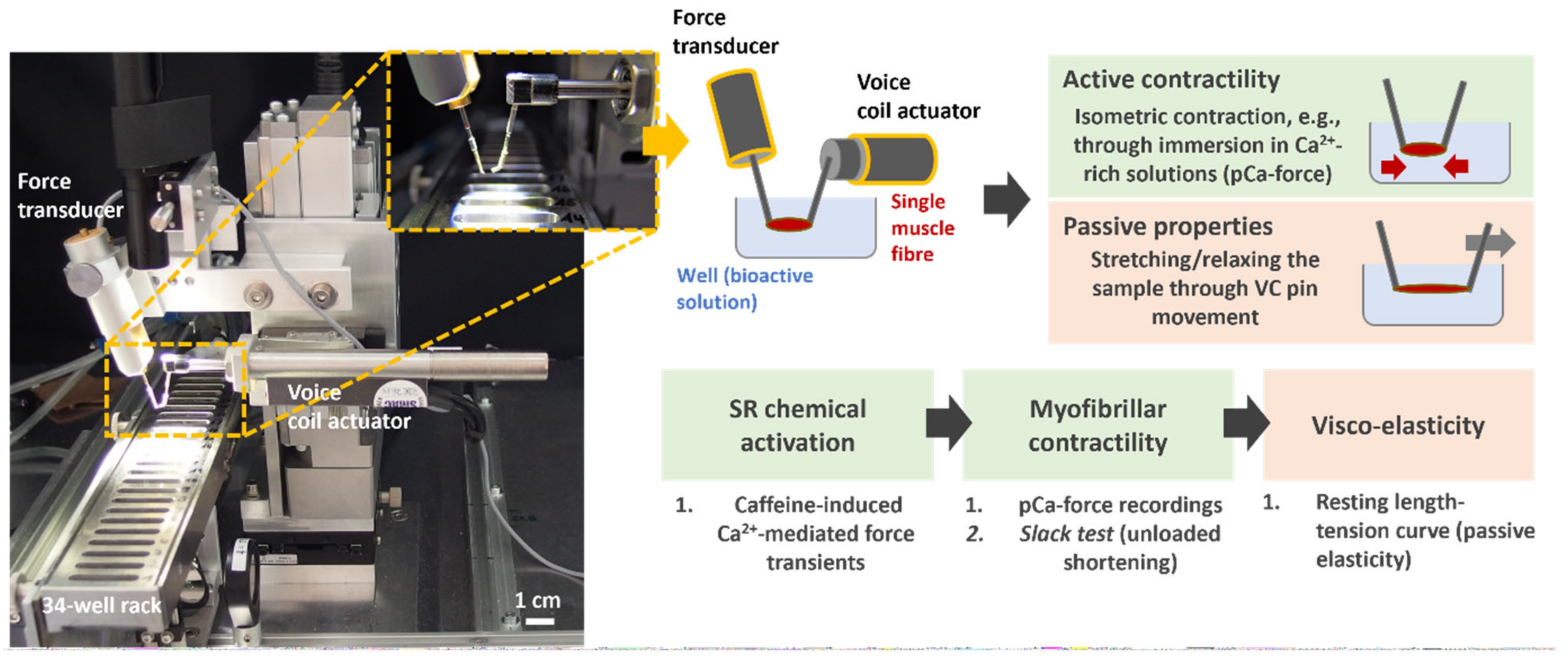 Cancers 16 01608 g001 Cancers 16 01608 g001