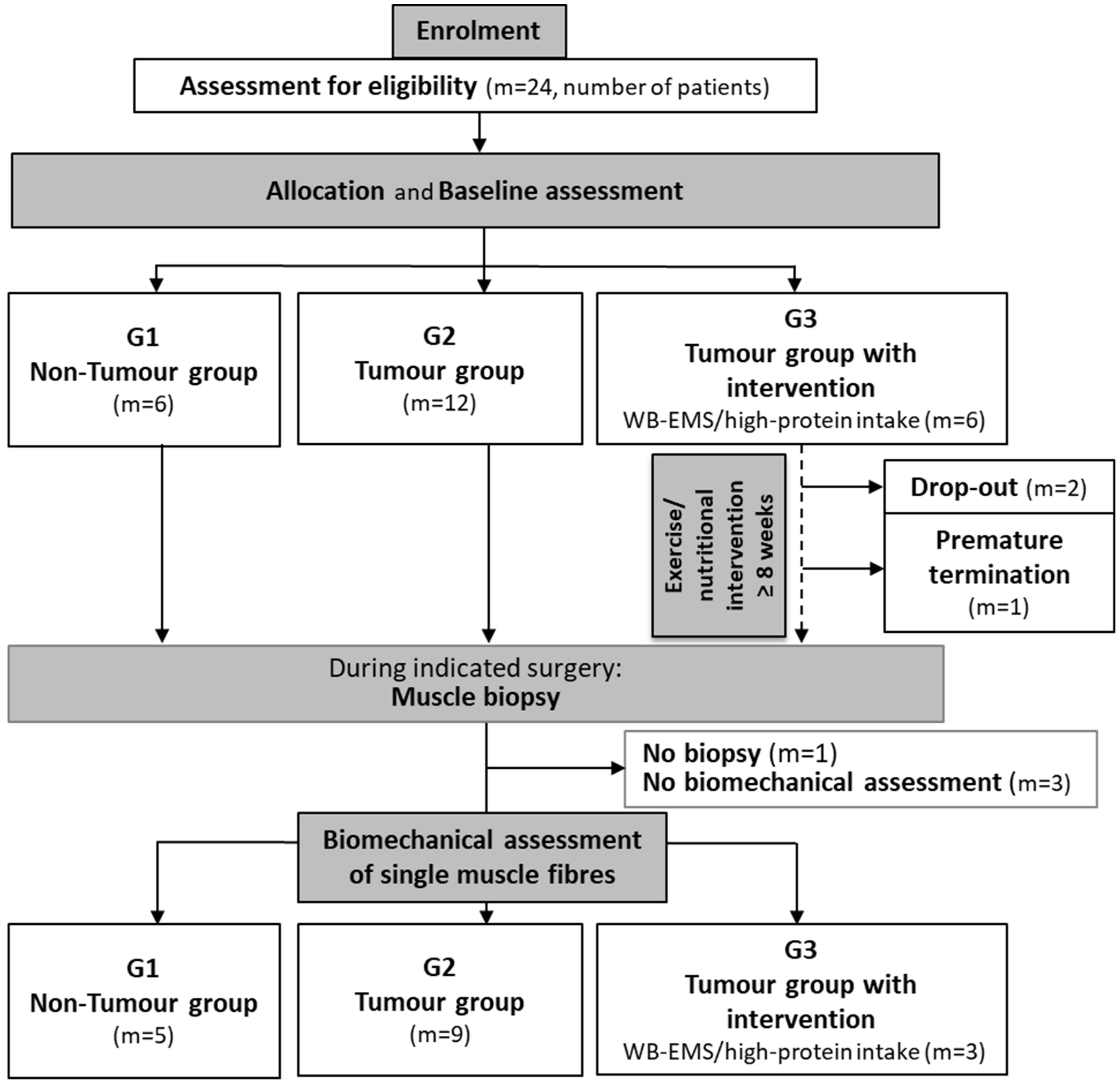 Cancers 16 01608 g002 Cancers 16 01608 g002