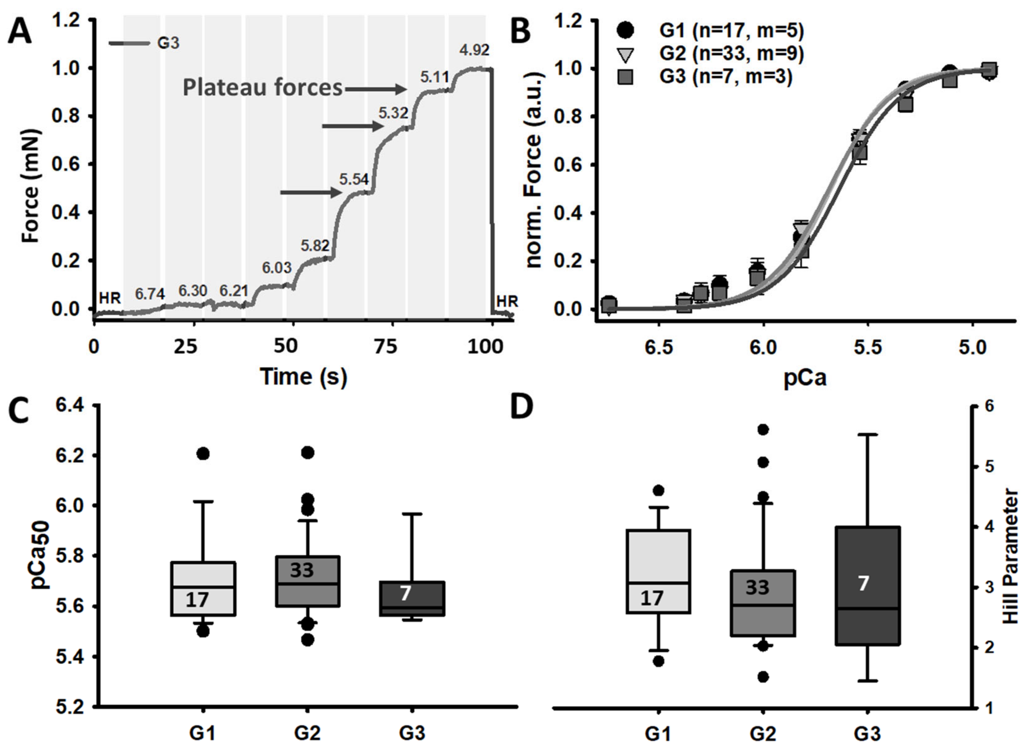 Cancers 16 01608 g004 Cancers 16 01608 g004