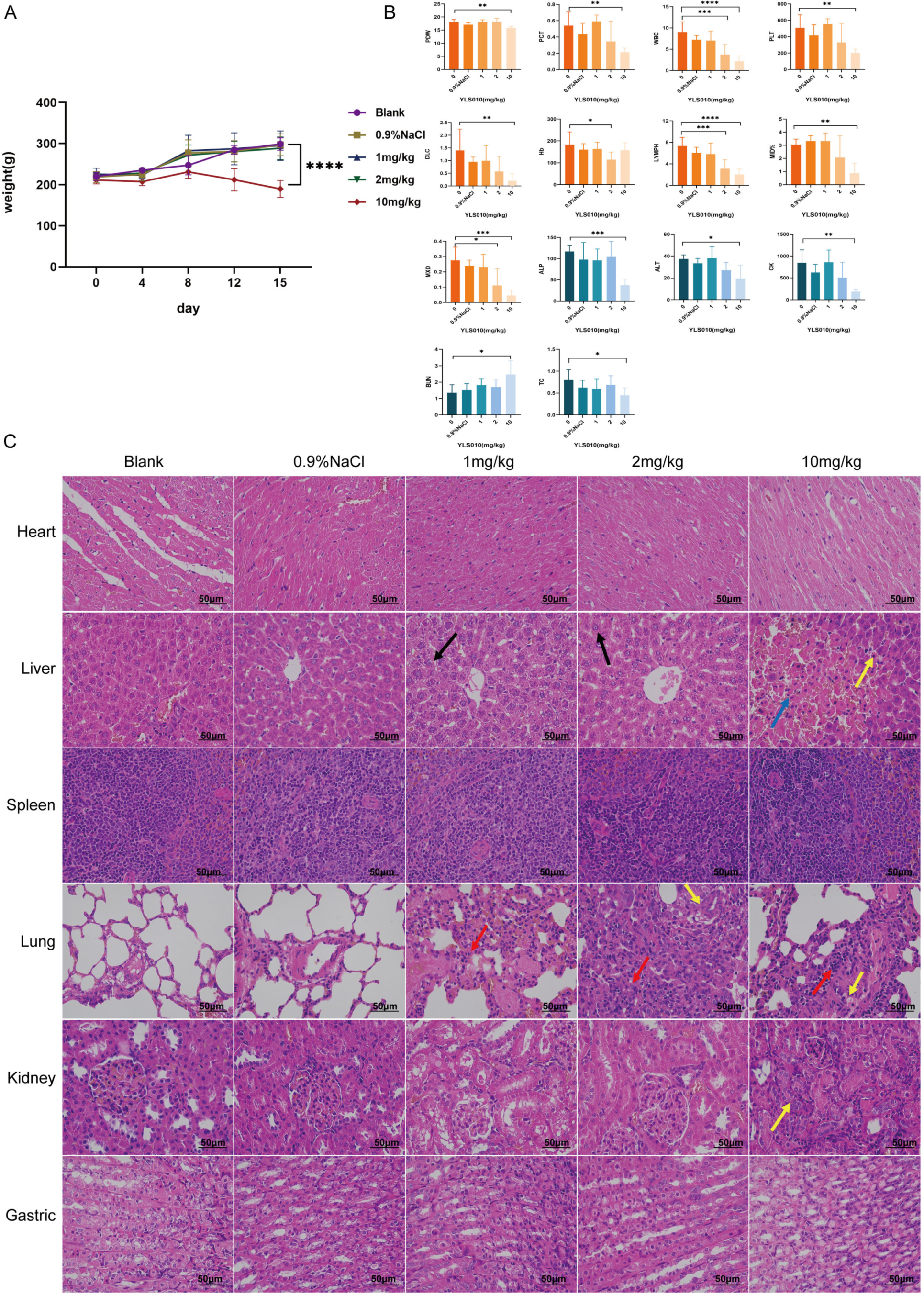 Cancers 16 01614 g006