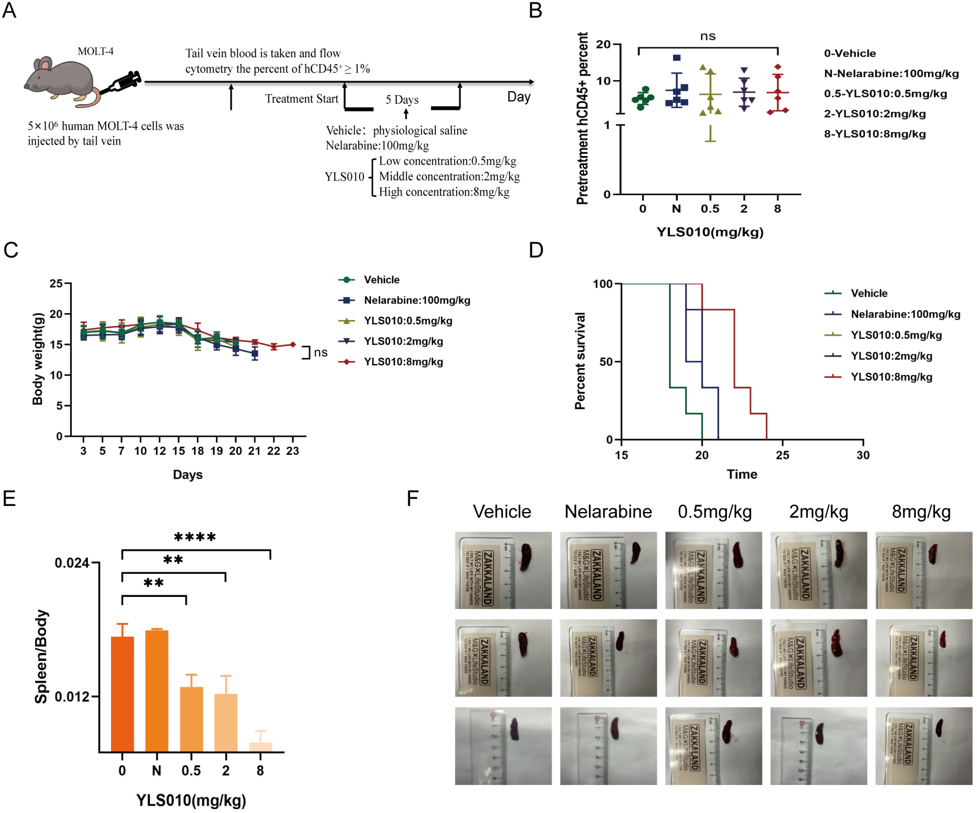Cancers 16 01614 g007