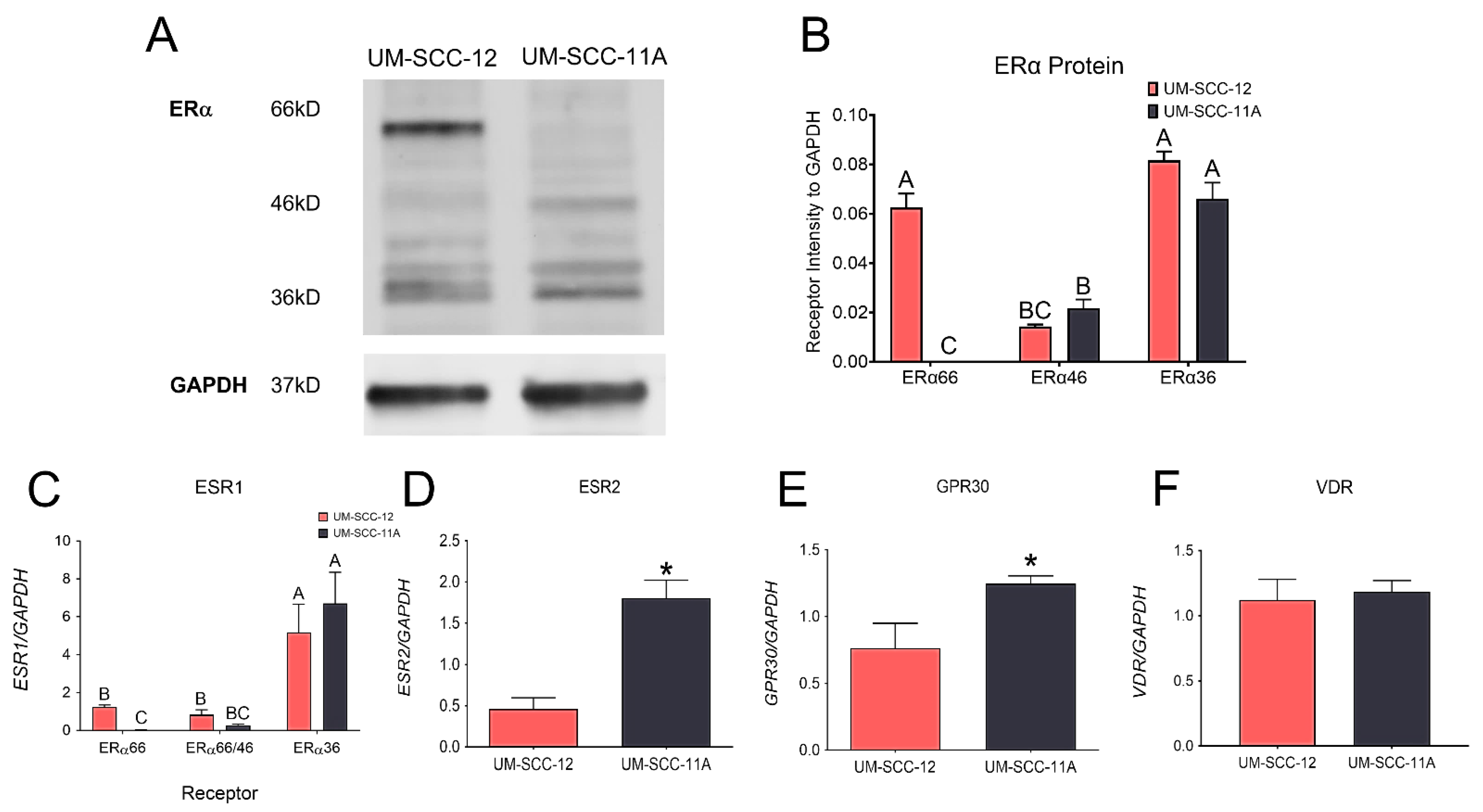 Cancers 16 01635 g001