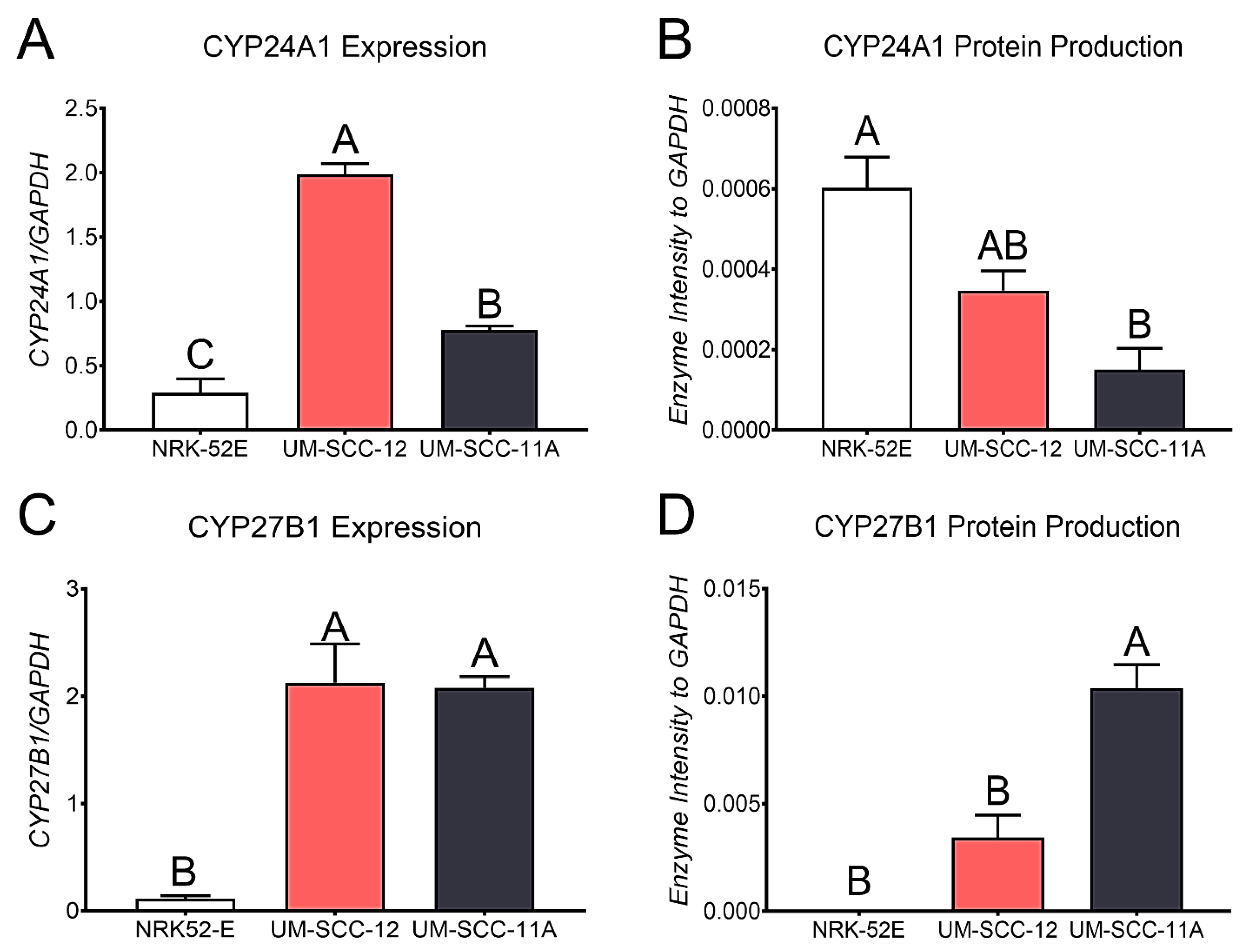 Cancers 16 01635 g004