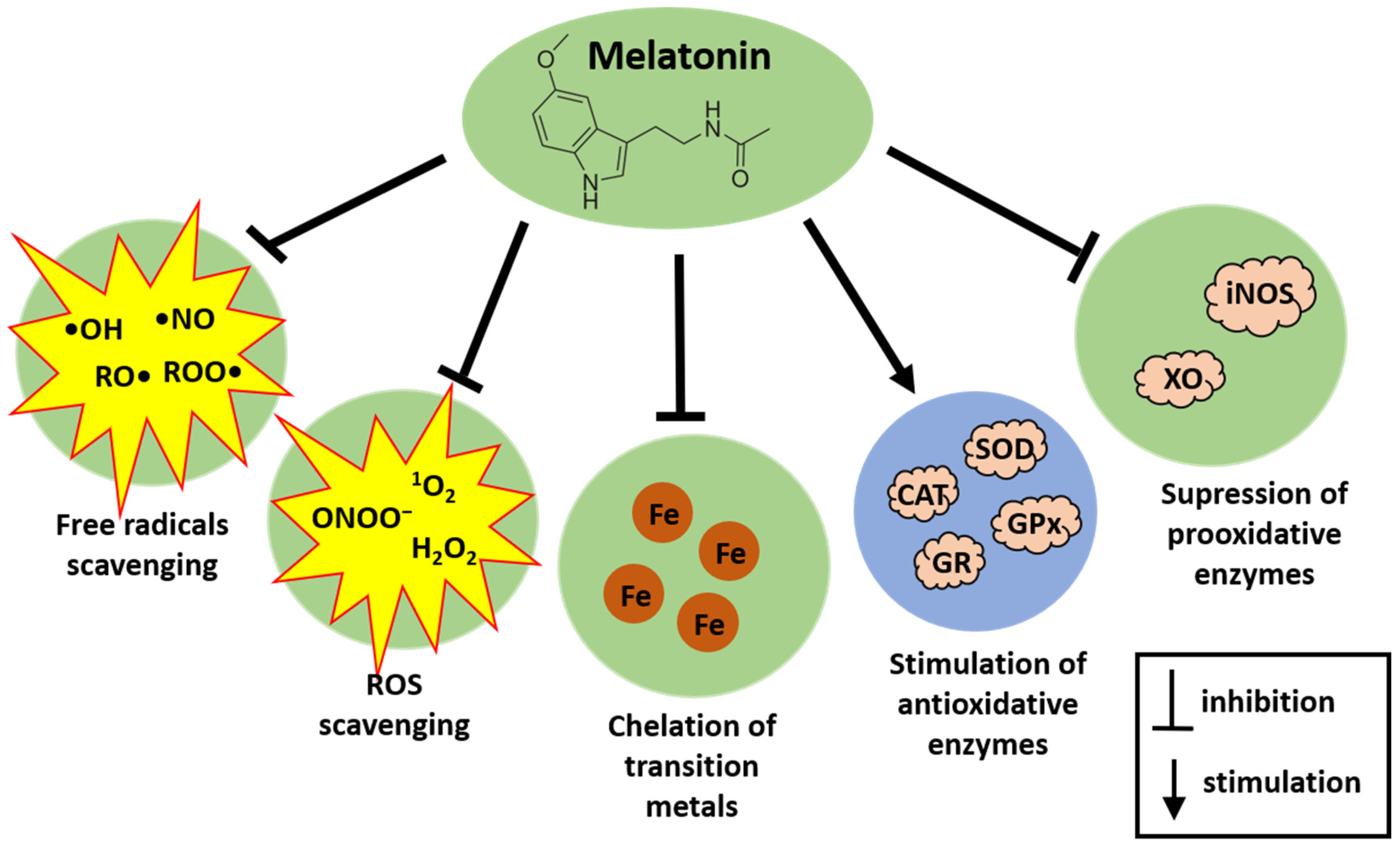 Cancers 16 01646 g002 Cancers 16 01646 g002