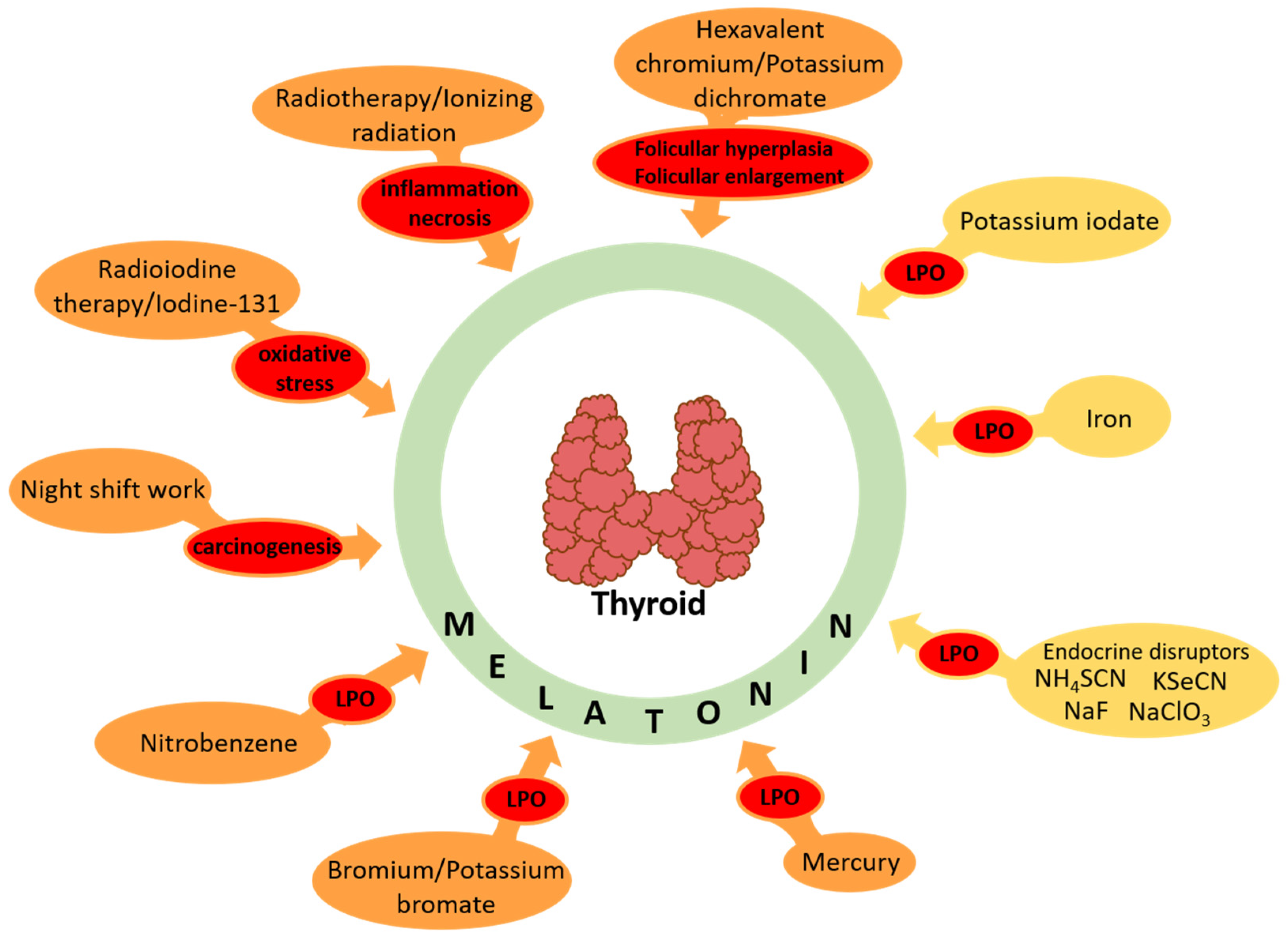 Cancers 16 01646 g005 Cancers 16 01646 g005