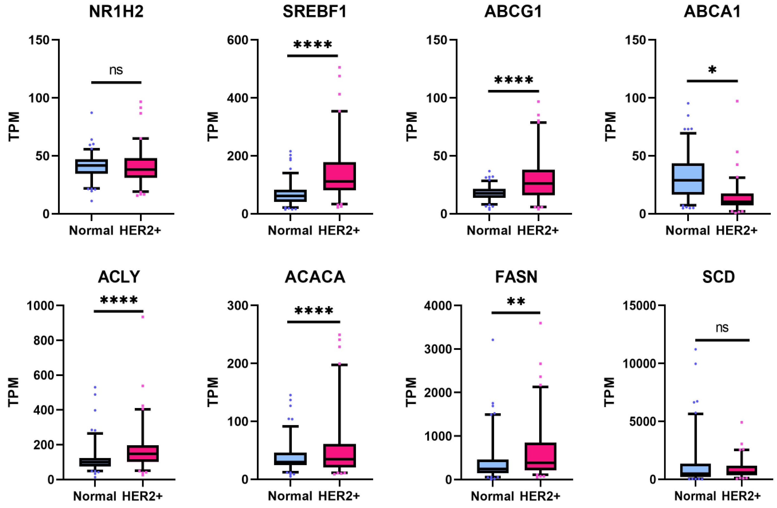 Cancers 16 01651 g008