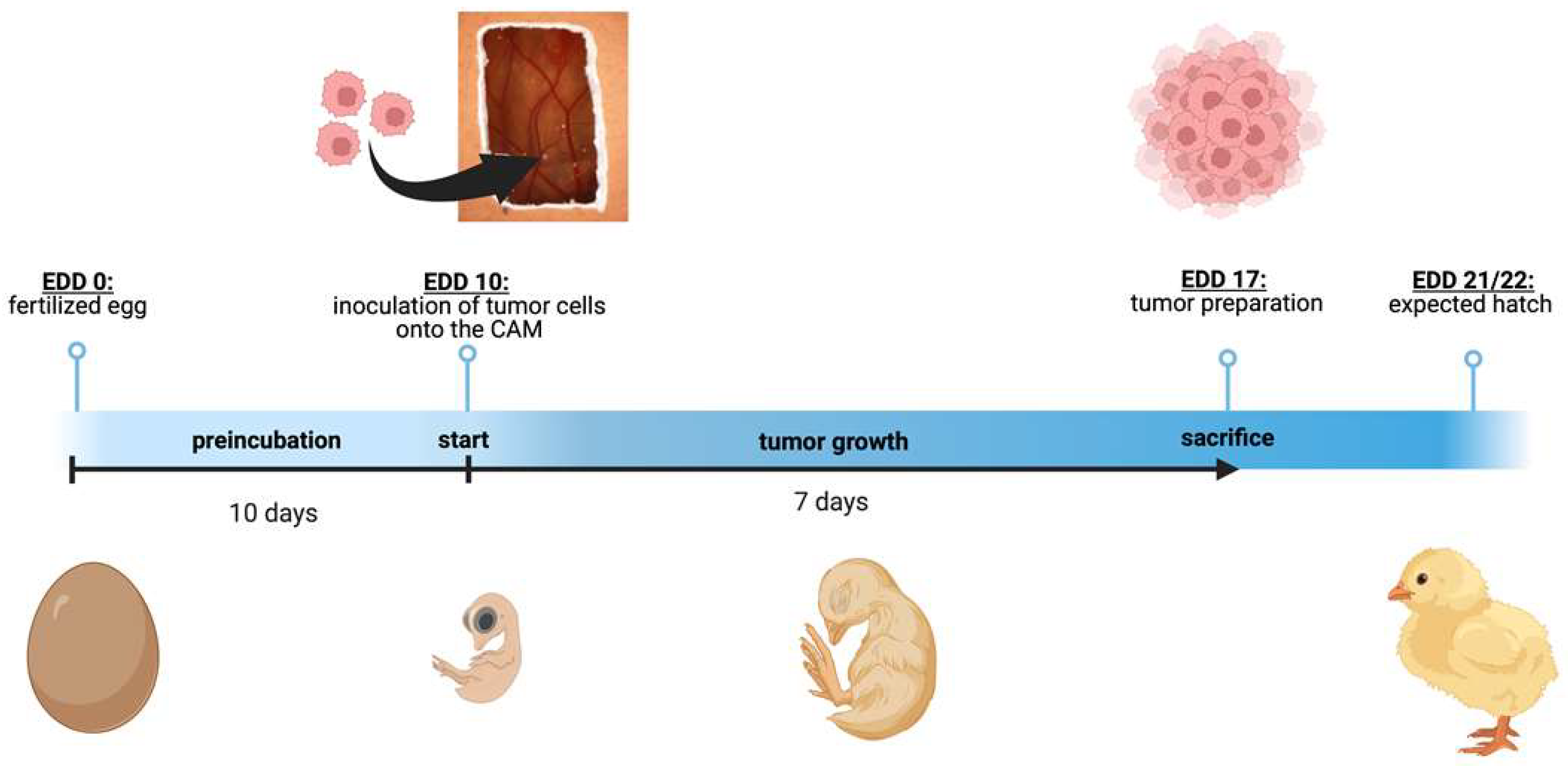 Cancers 16 01656 g001