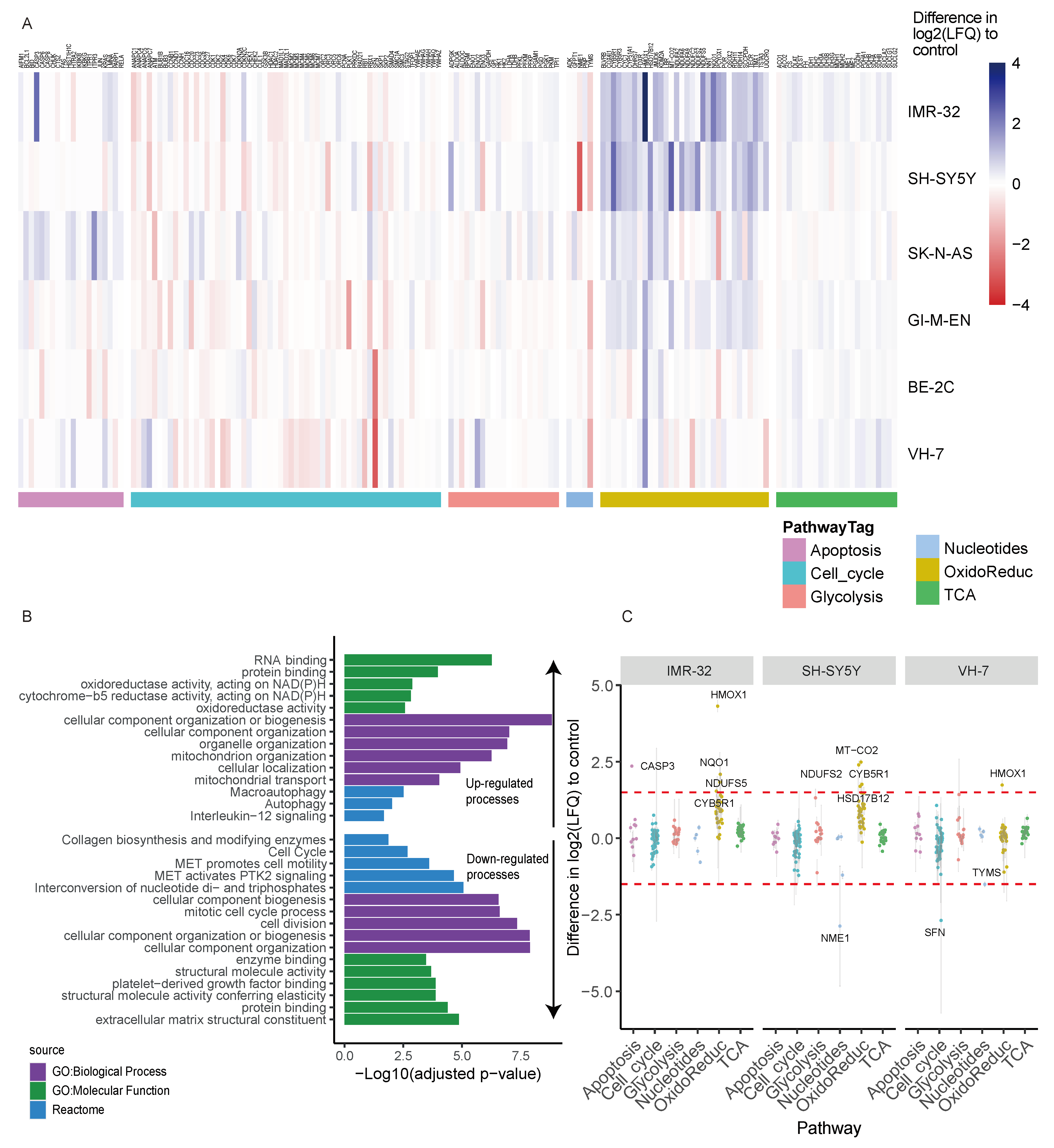 Cancers 16 01664 g002